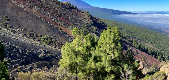 Wanderweg Richtung La Crucita mit Blick auf Teide und den unteren Hangweg
