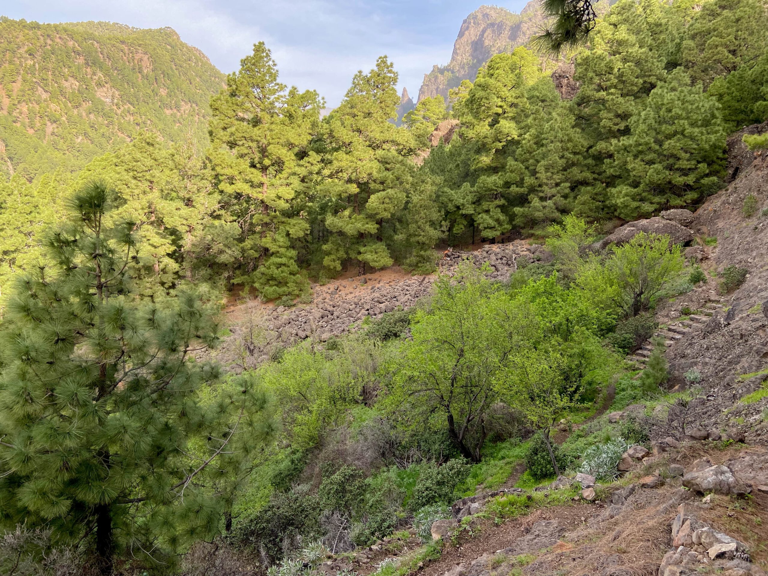 Wanderweg mit Stufen am Hang entlang Richtung La Cumbrecita