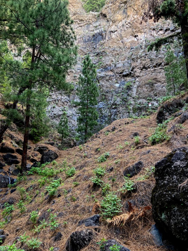 Steep rock faces and hard climbs