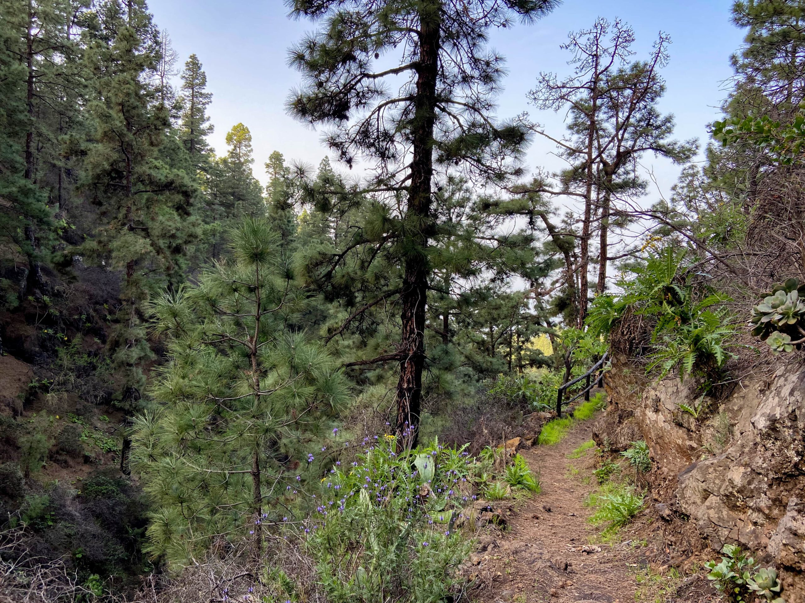 Wanderweg im Barranco