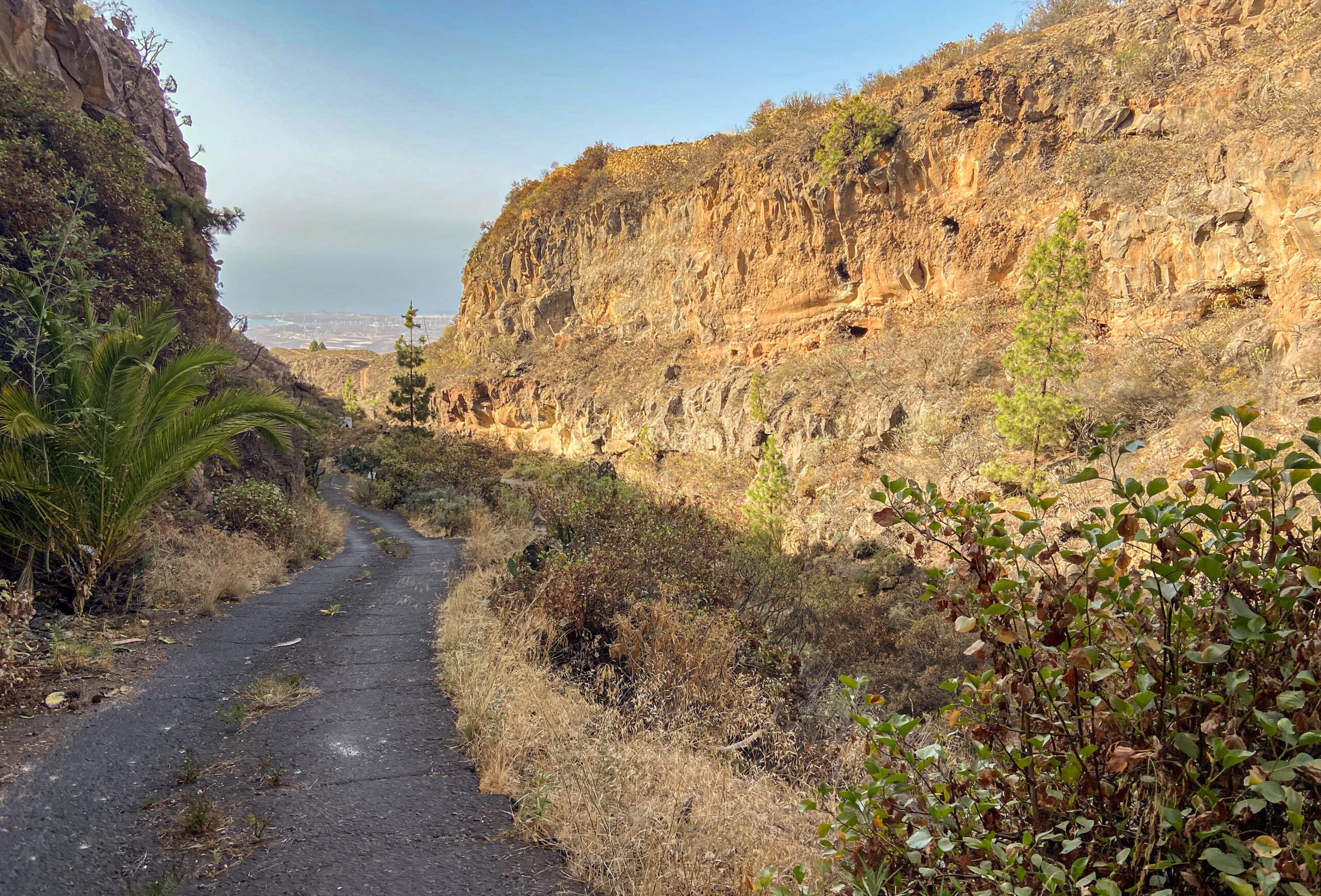 Fahrweg als Wanderweg am Barranco entlang