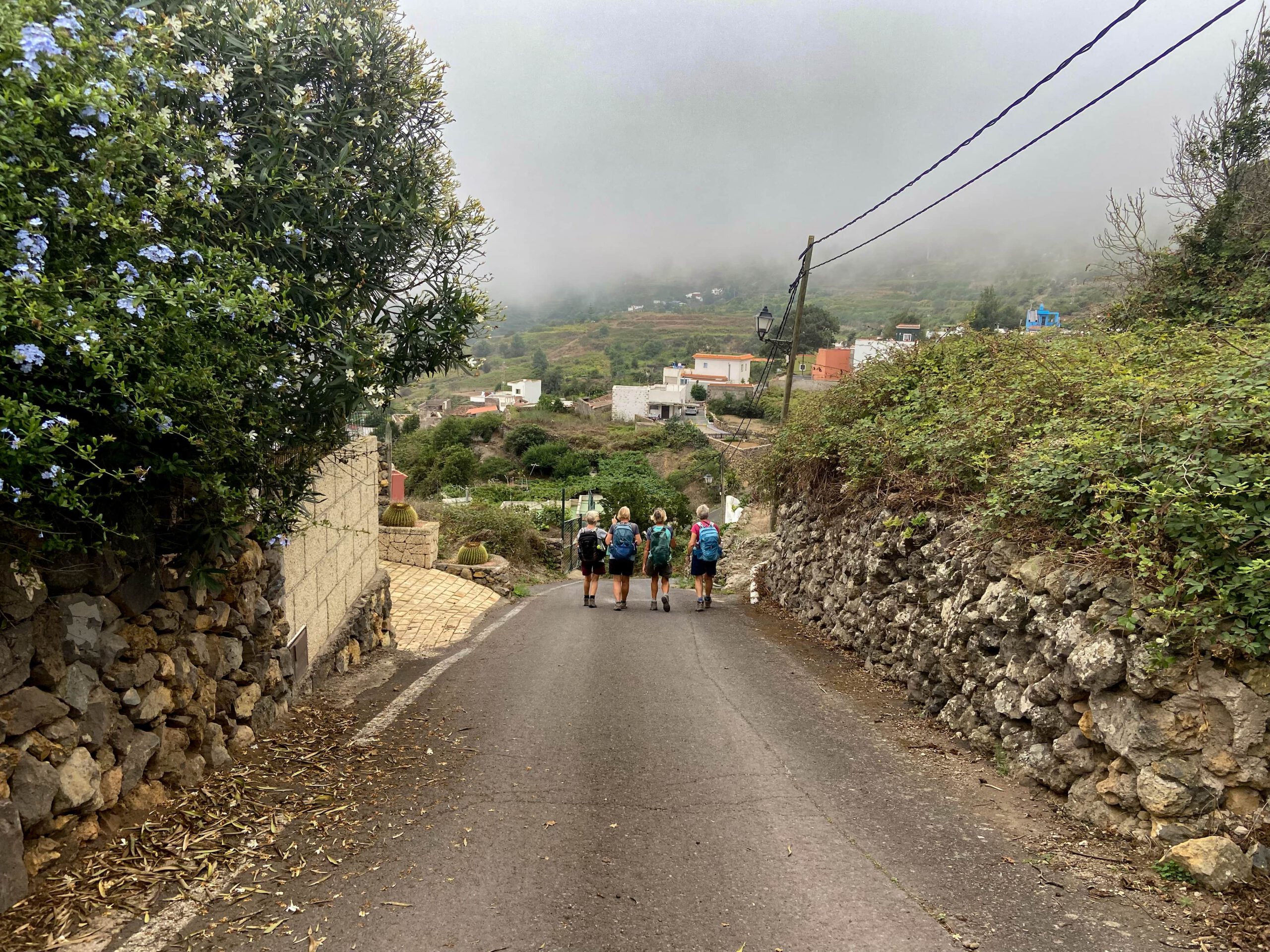 Wandergruppe auf der Straße oberhalb la Guancha