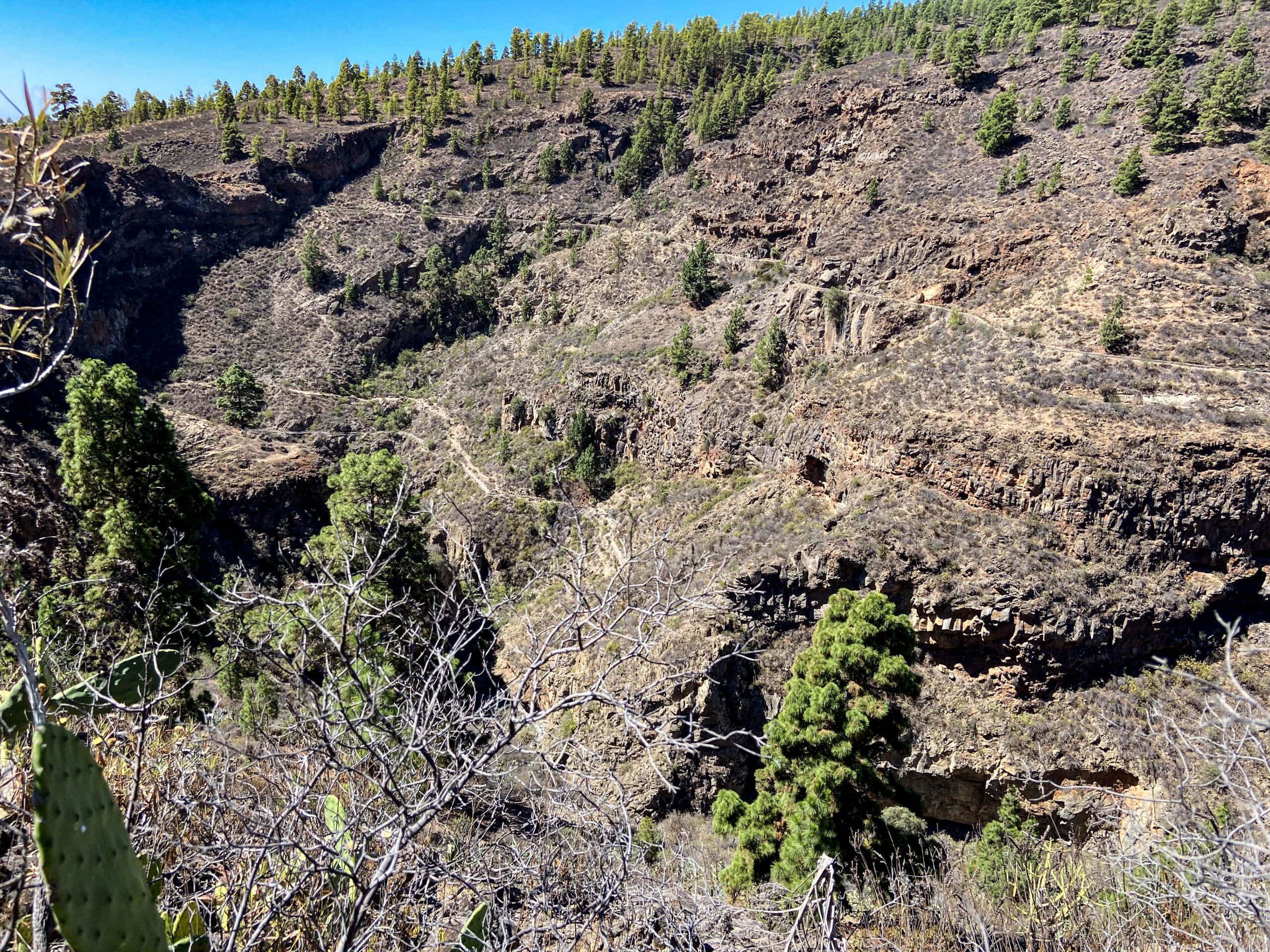 Blick hinunter in den Barranco El Río
