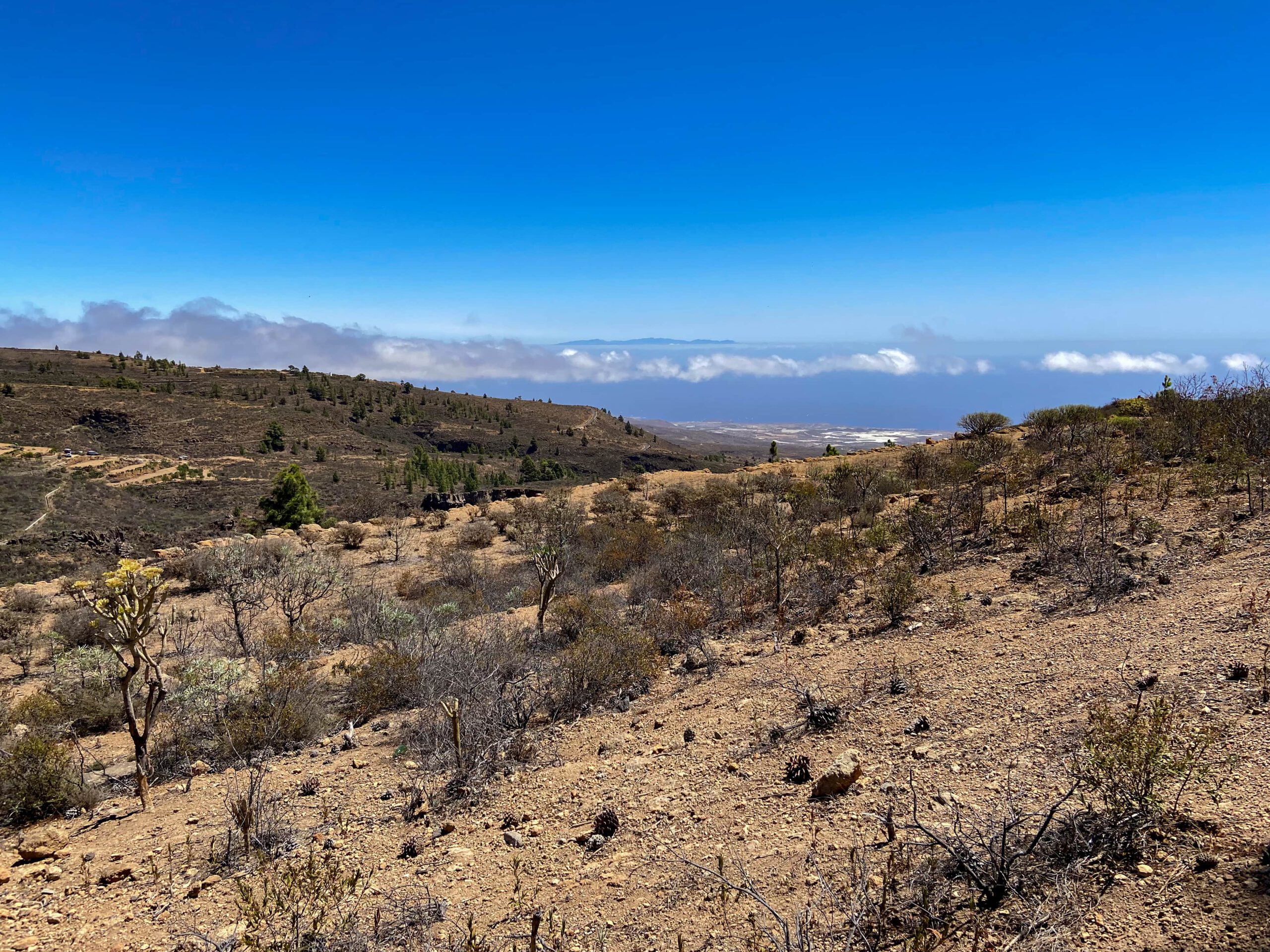 Blick aus der Höhe auf die Ostküste von Teneriffa