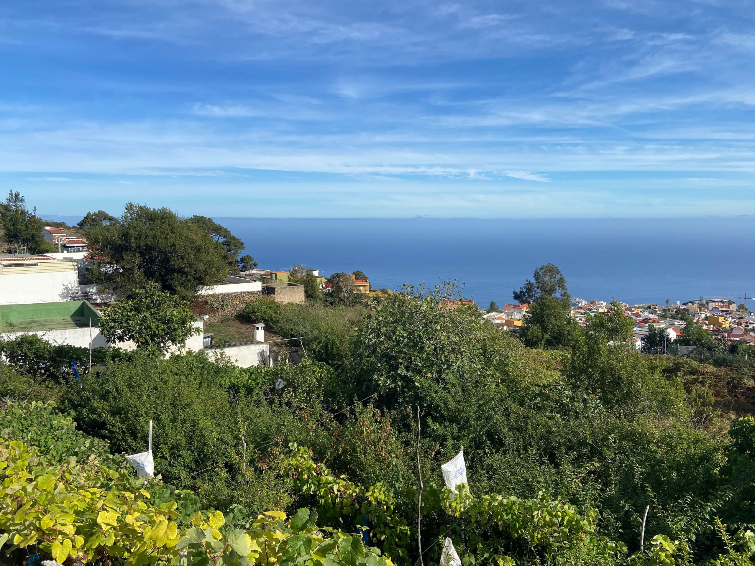 Blick auf grüne Gärten über La Guancha