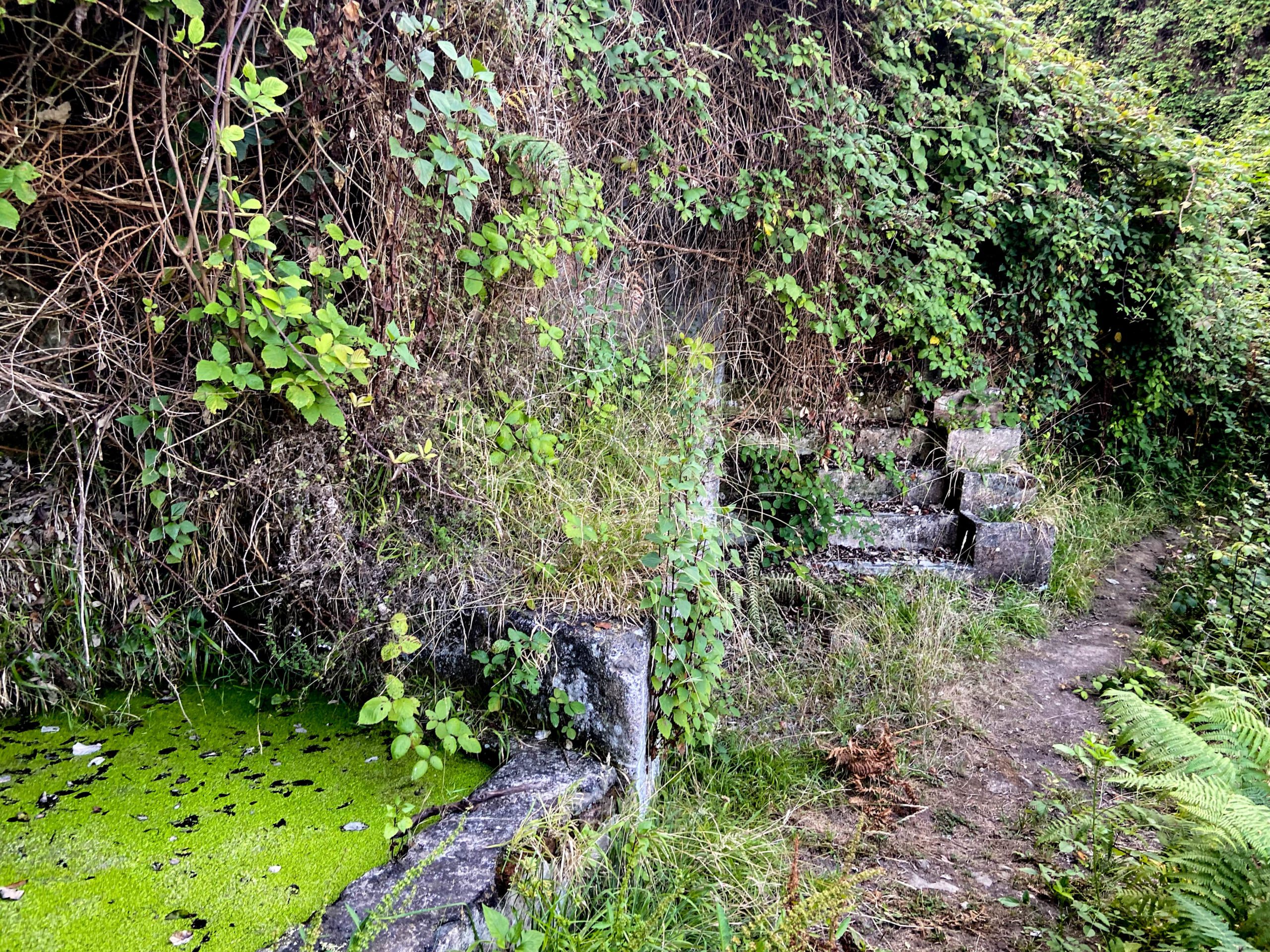 Wasser, Wanderweg und viel grün - Ruta del Agua