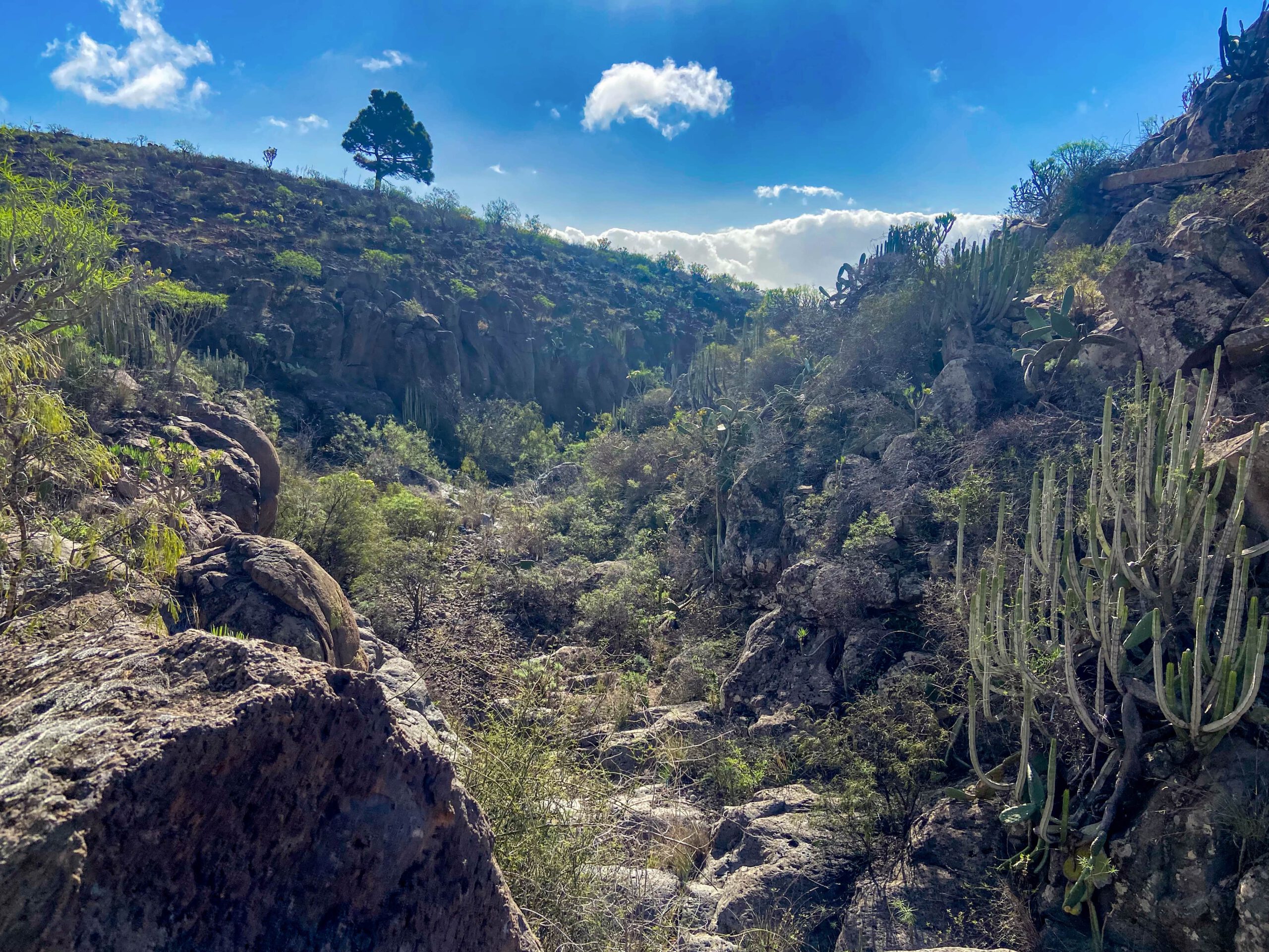 Wanderweg Camino Real del Sur