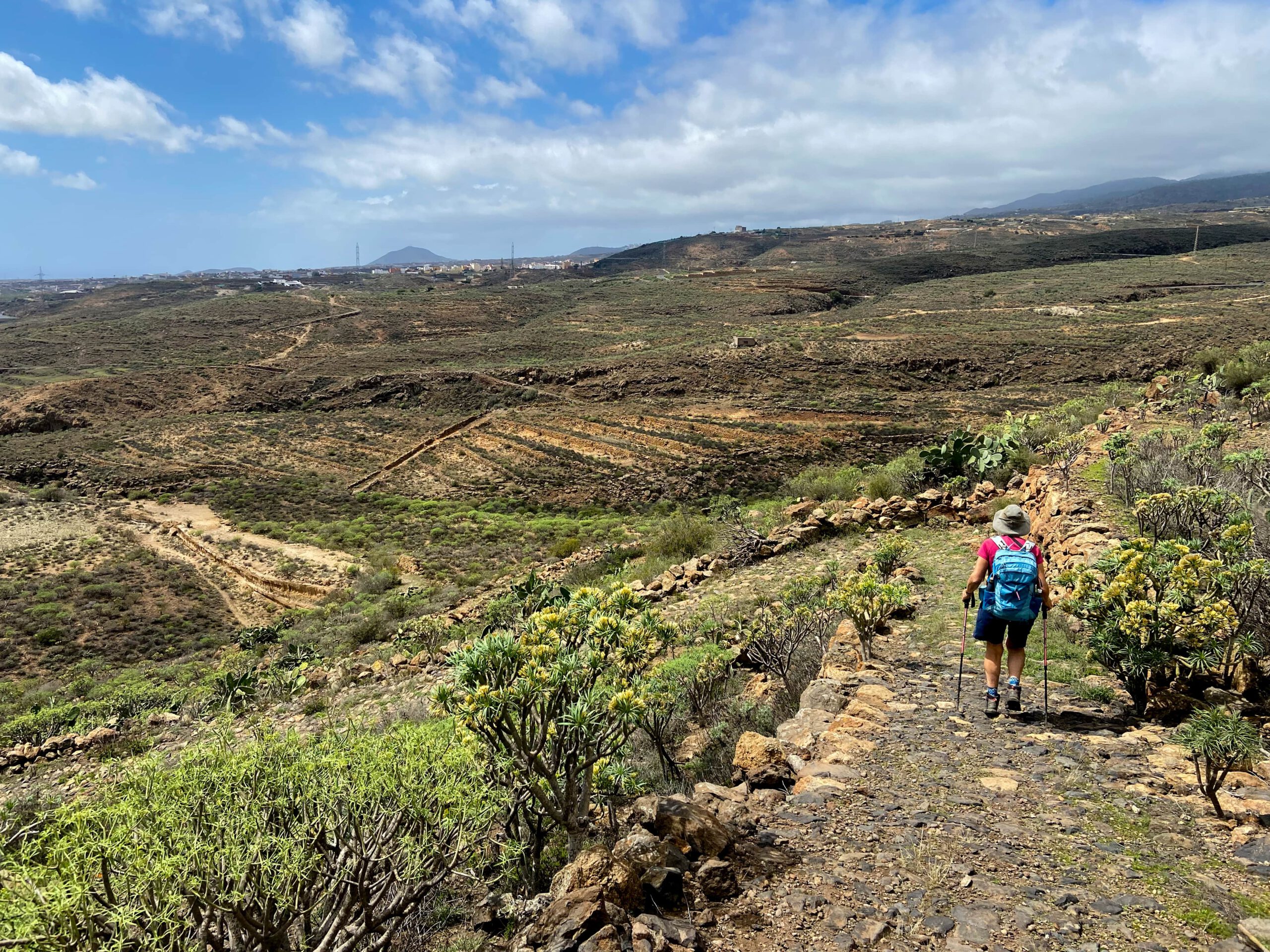 Camino Real del Sur Richtung El Río