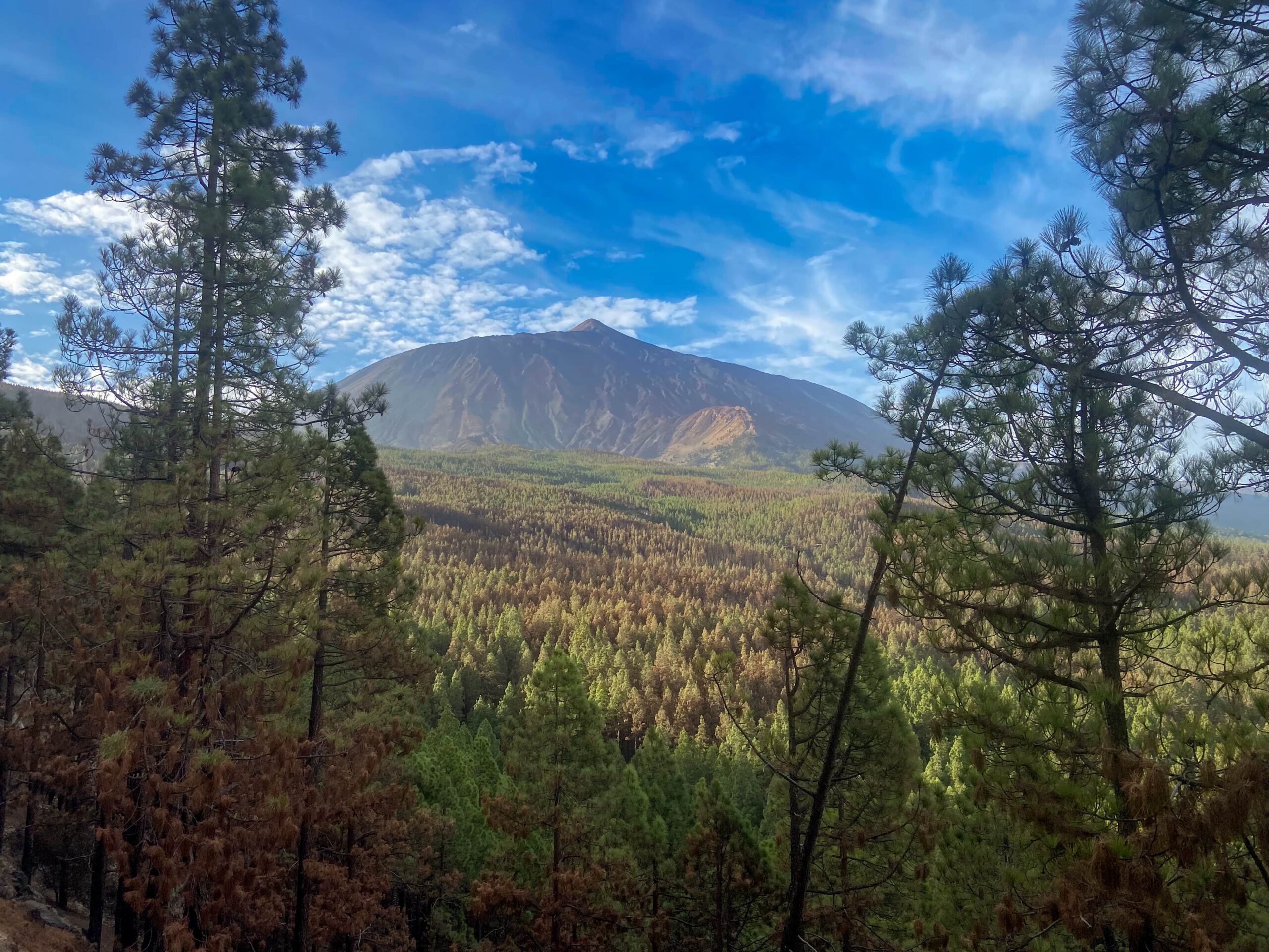 Blick beim Aufstieg auf den Teide