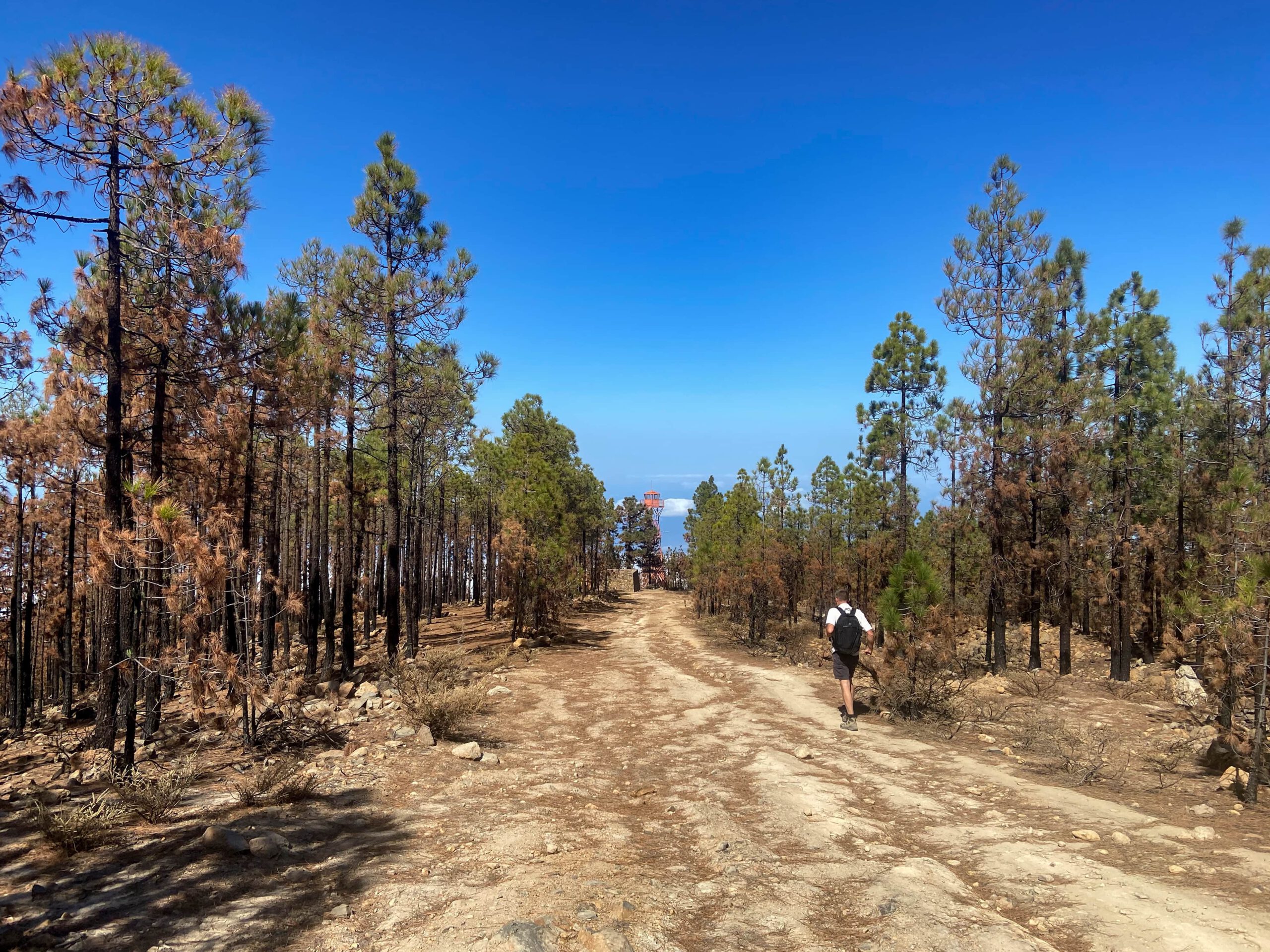 Wanderweg oberhalb des Feuerturms San Juan de la Rambla