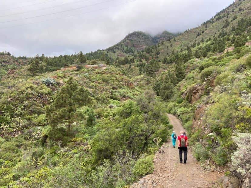 Wanderweg zum Ausgangsort nach Araya