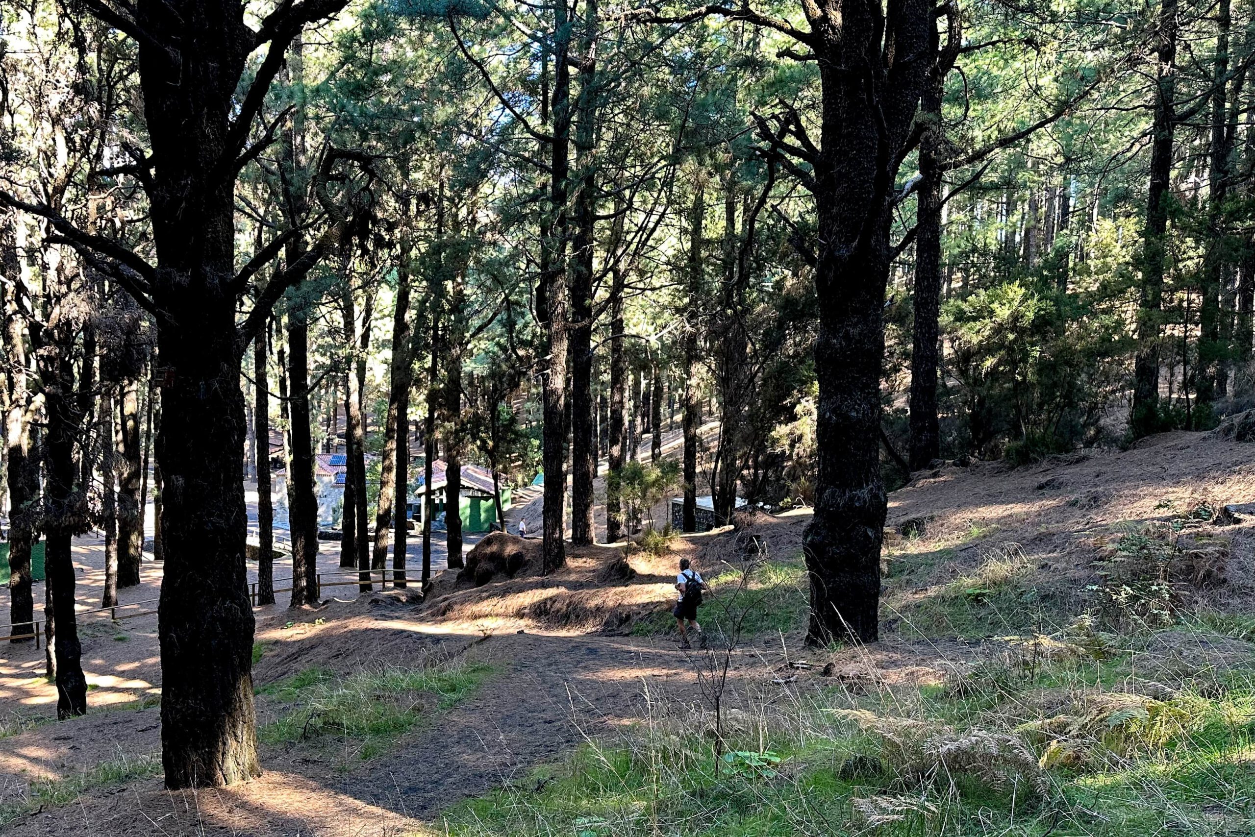 Wanderweg hinunter zur Area Recreativa El Pilar