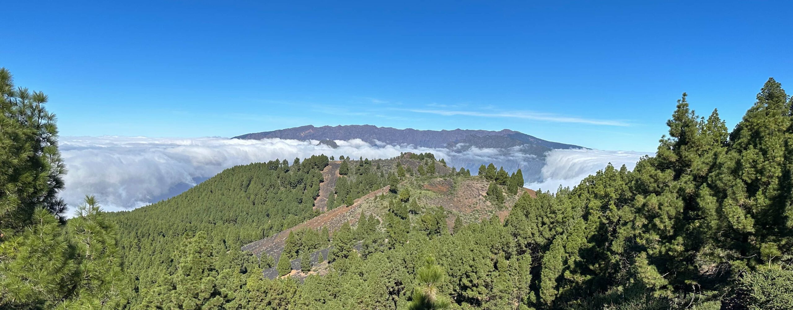Blick vom Gipfelweg zur Cumbre