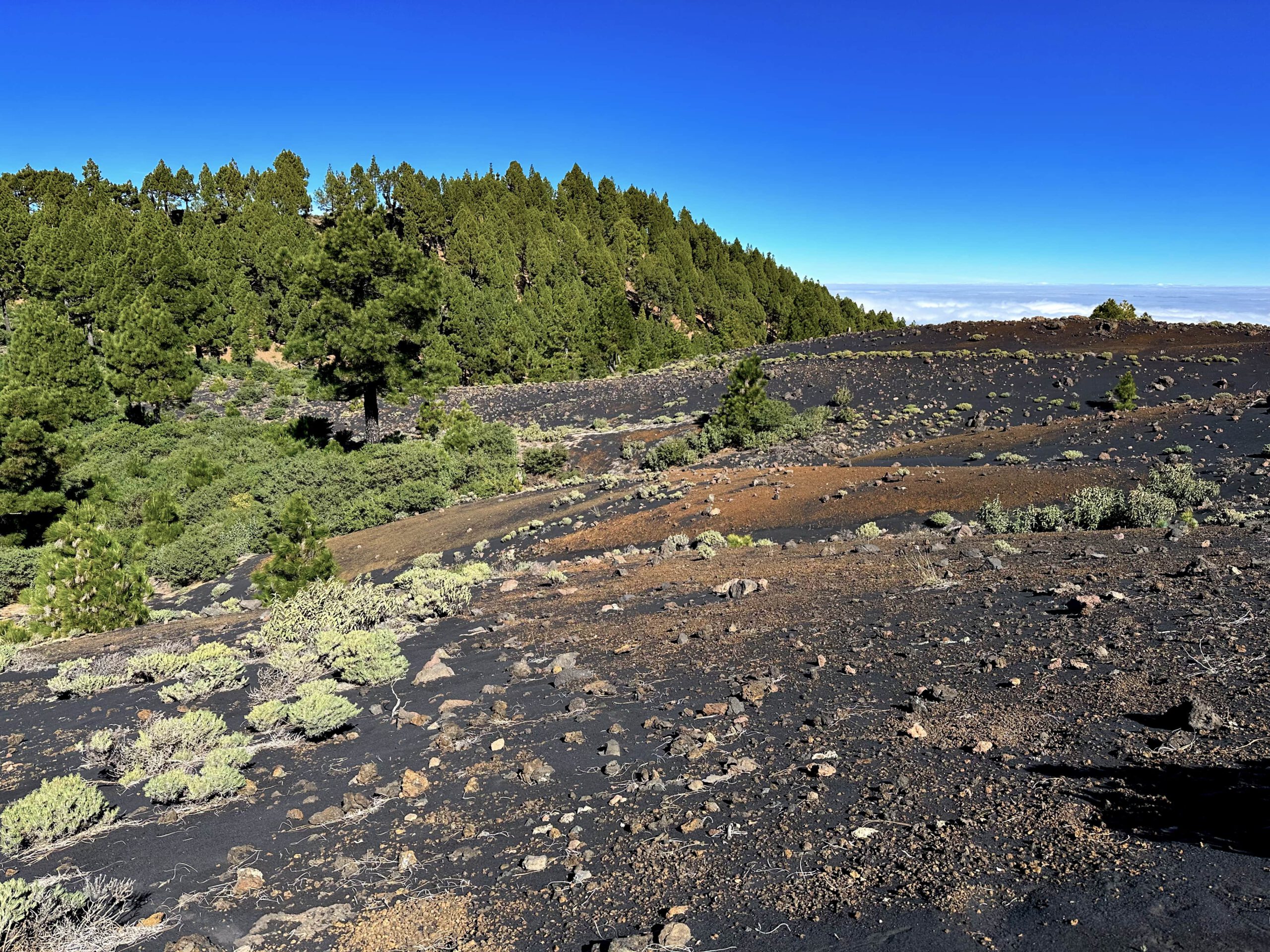 unterhalb der Montaña de los Charcos 1851 nahe der Ruta de los Volcanes