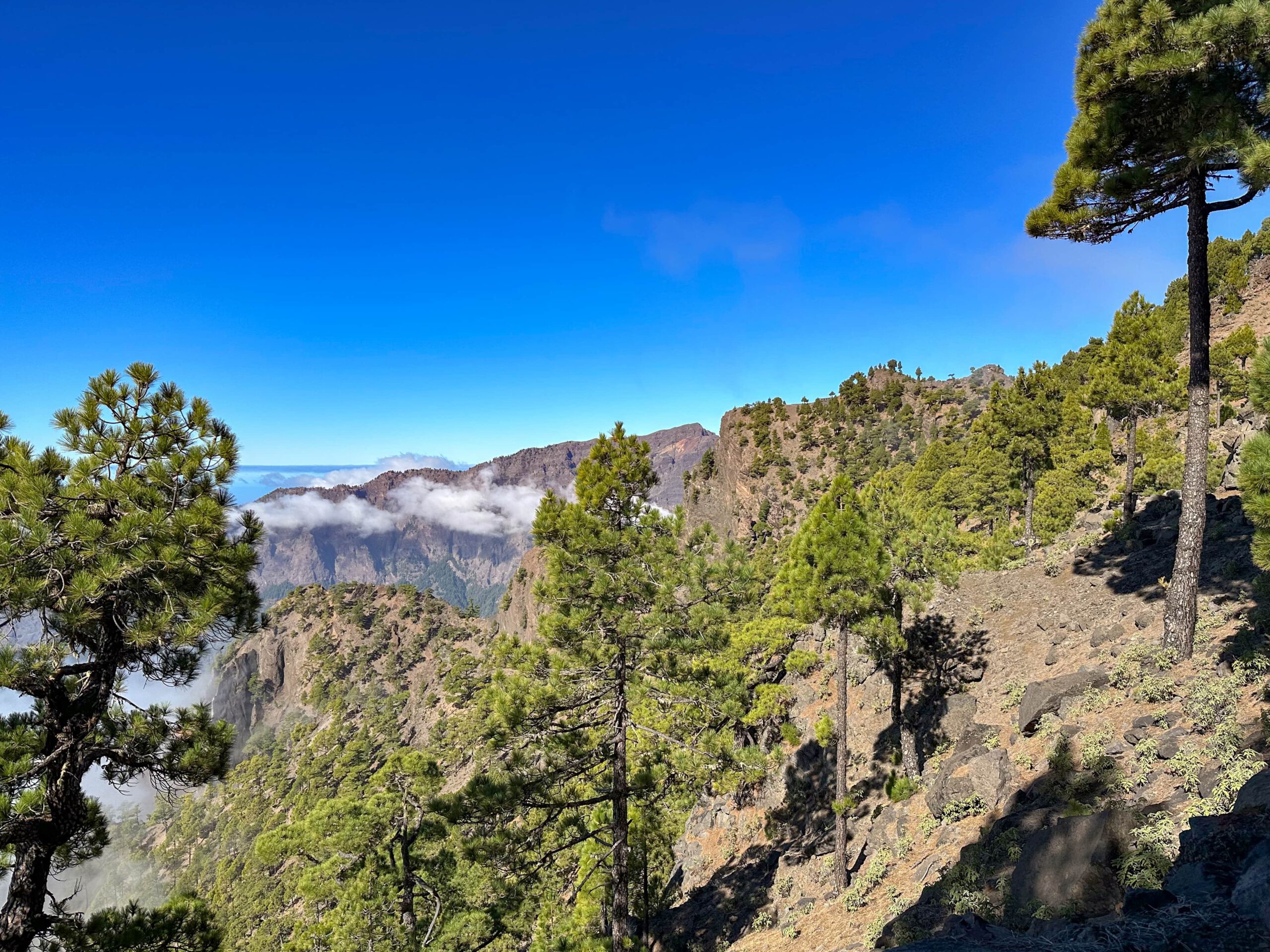 Blick vom Wanderweg auf das Refugio Punta de Los Roques - Felsen Hintergrund