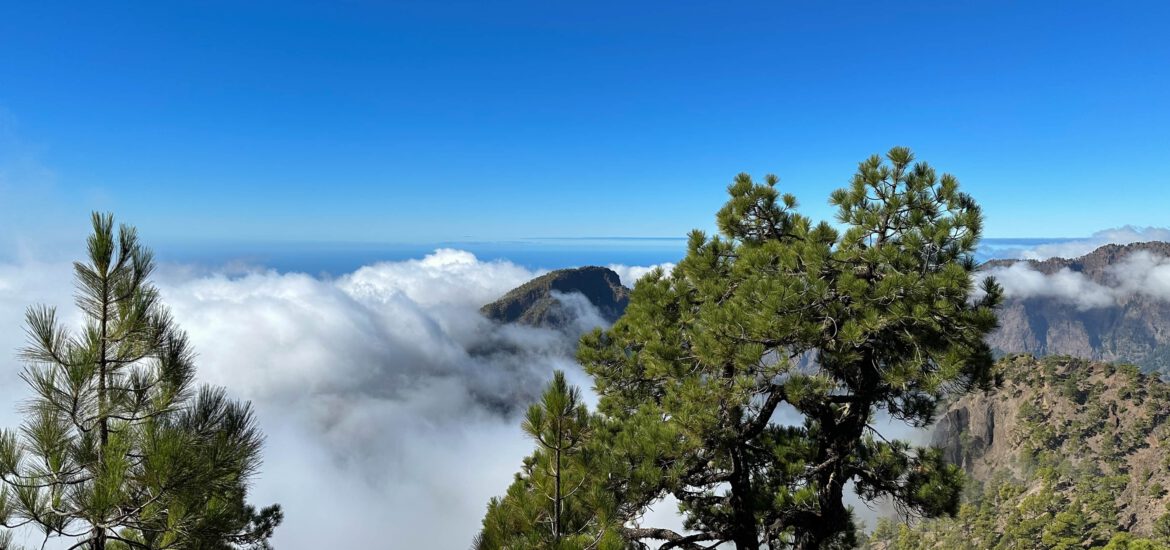 Wandern über Wolken - Pico Bejenado Gipfel schaut aus den Wolken