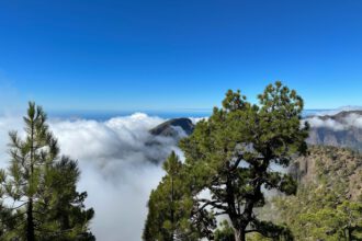 Wandern über Wolken - Pico Bejenado Gipfel schaut aus den Wolken