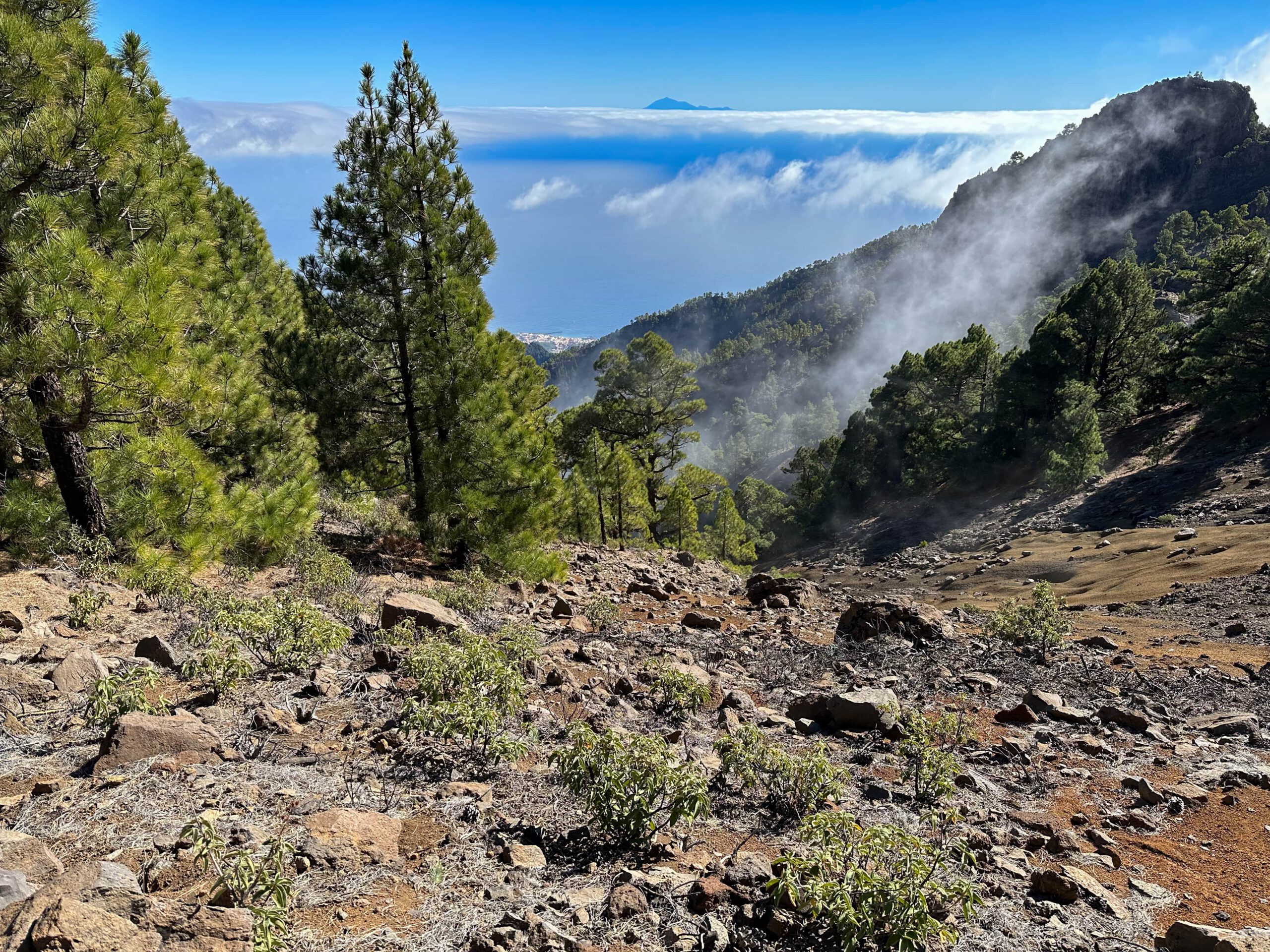 Blick auf Teneriffa vom Wanderweg