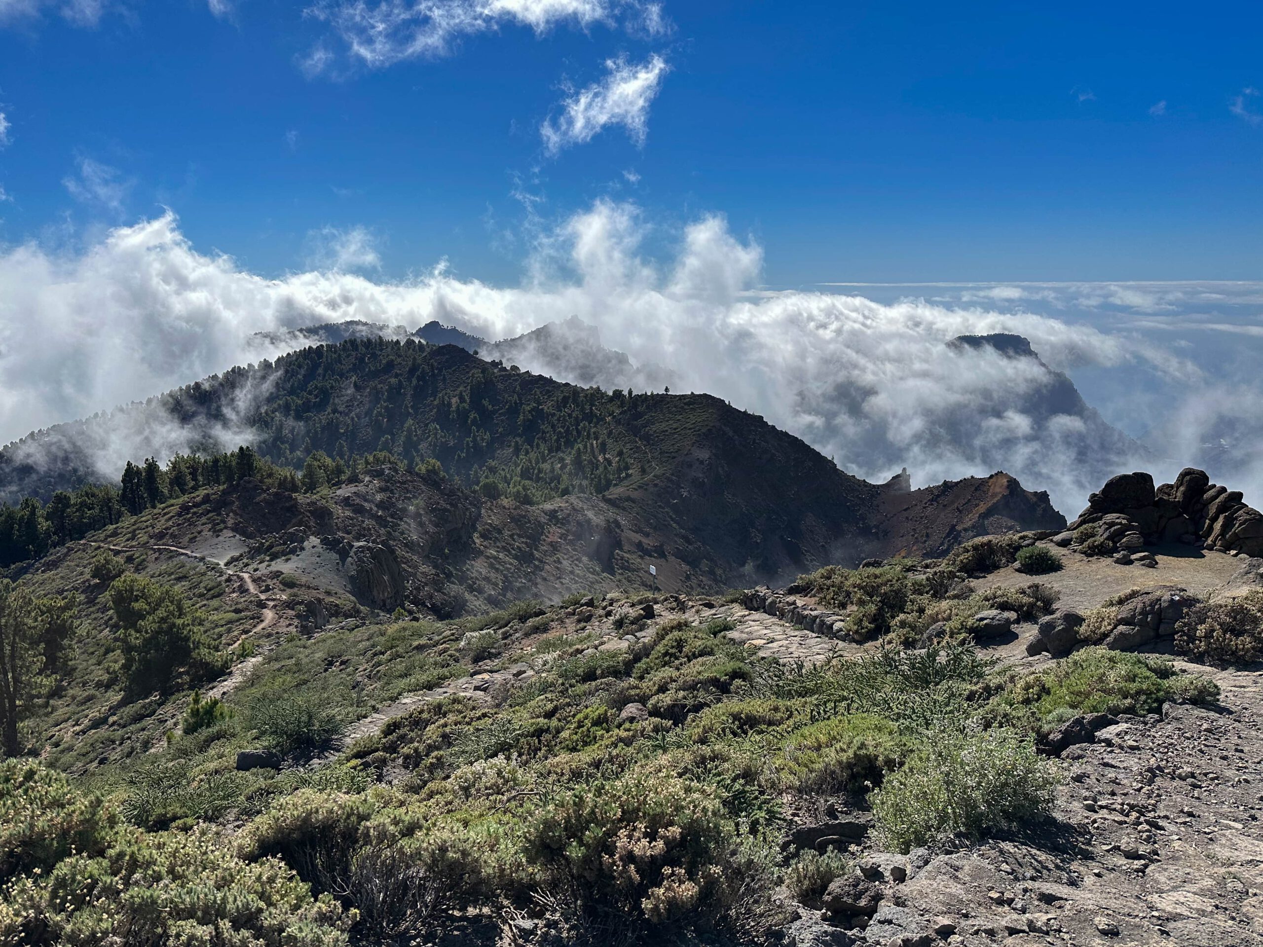 Wanderweg unterhalb Pico de La Nieve