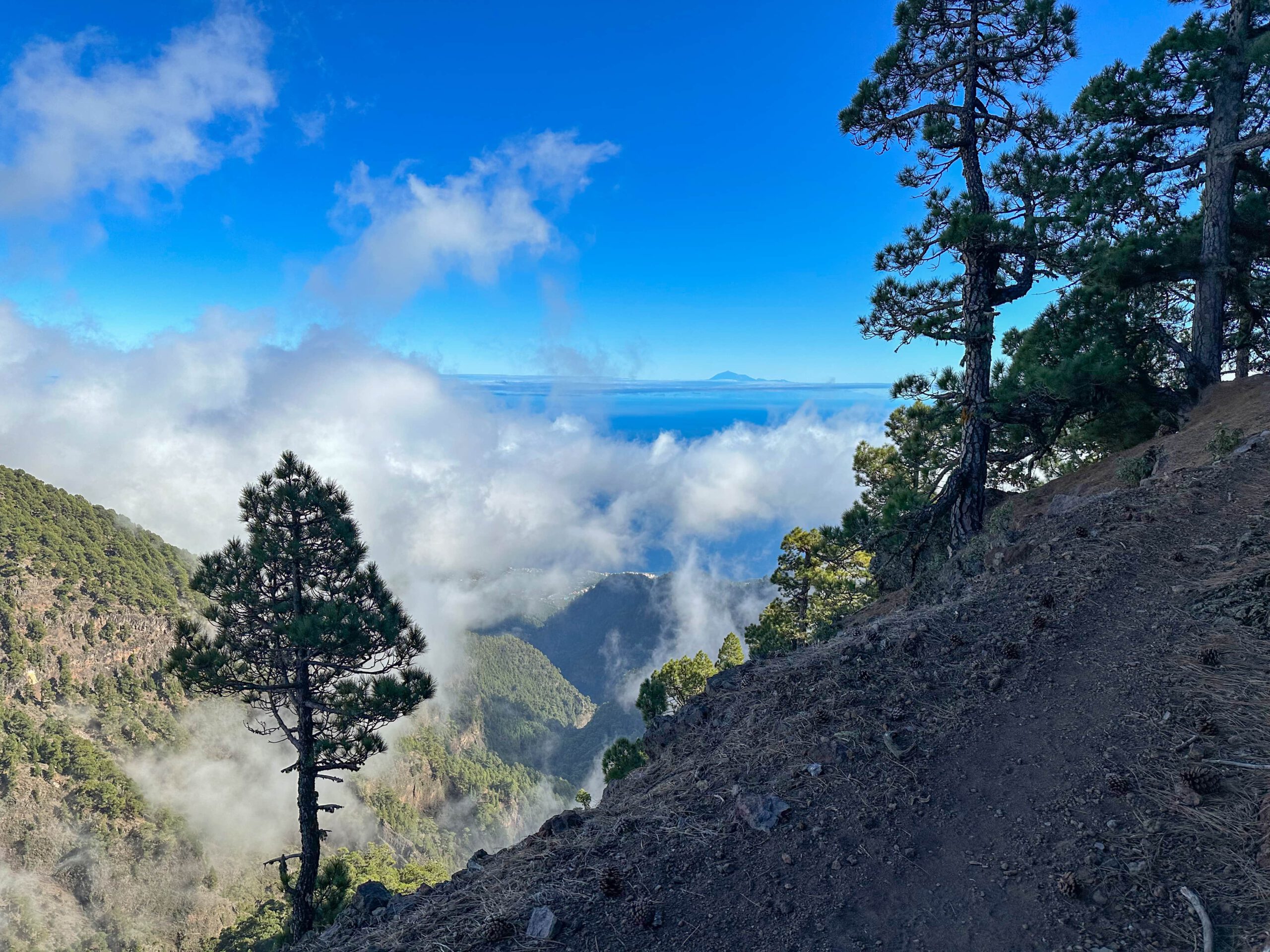 Blick vom Wanderweg auf Teneriffa