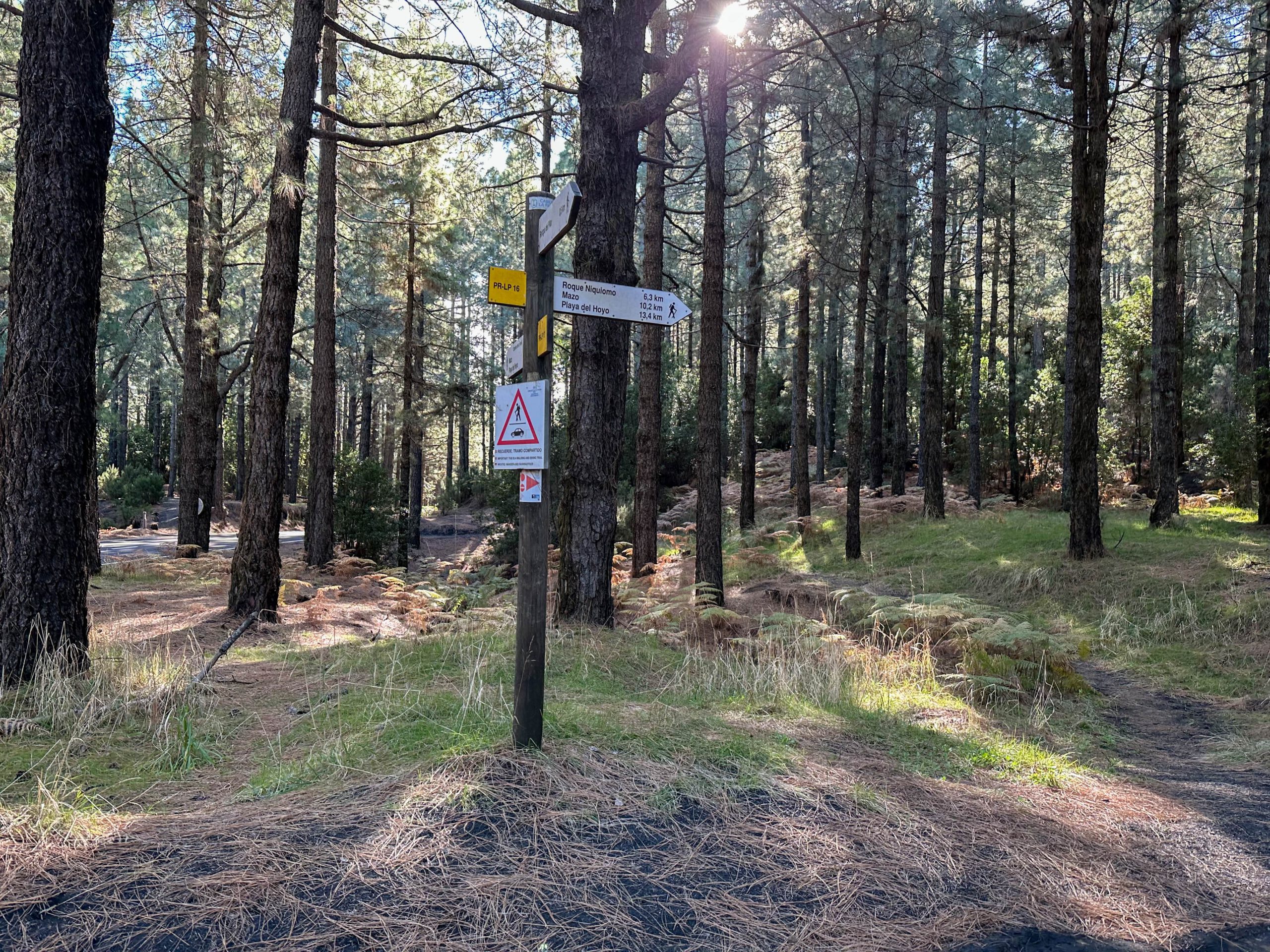 Start des Wanderweges von der Straße über El Pilar