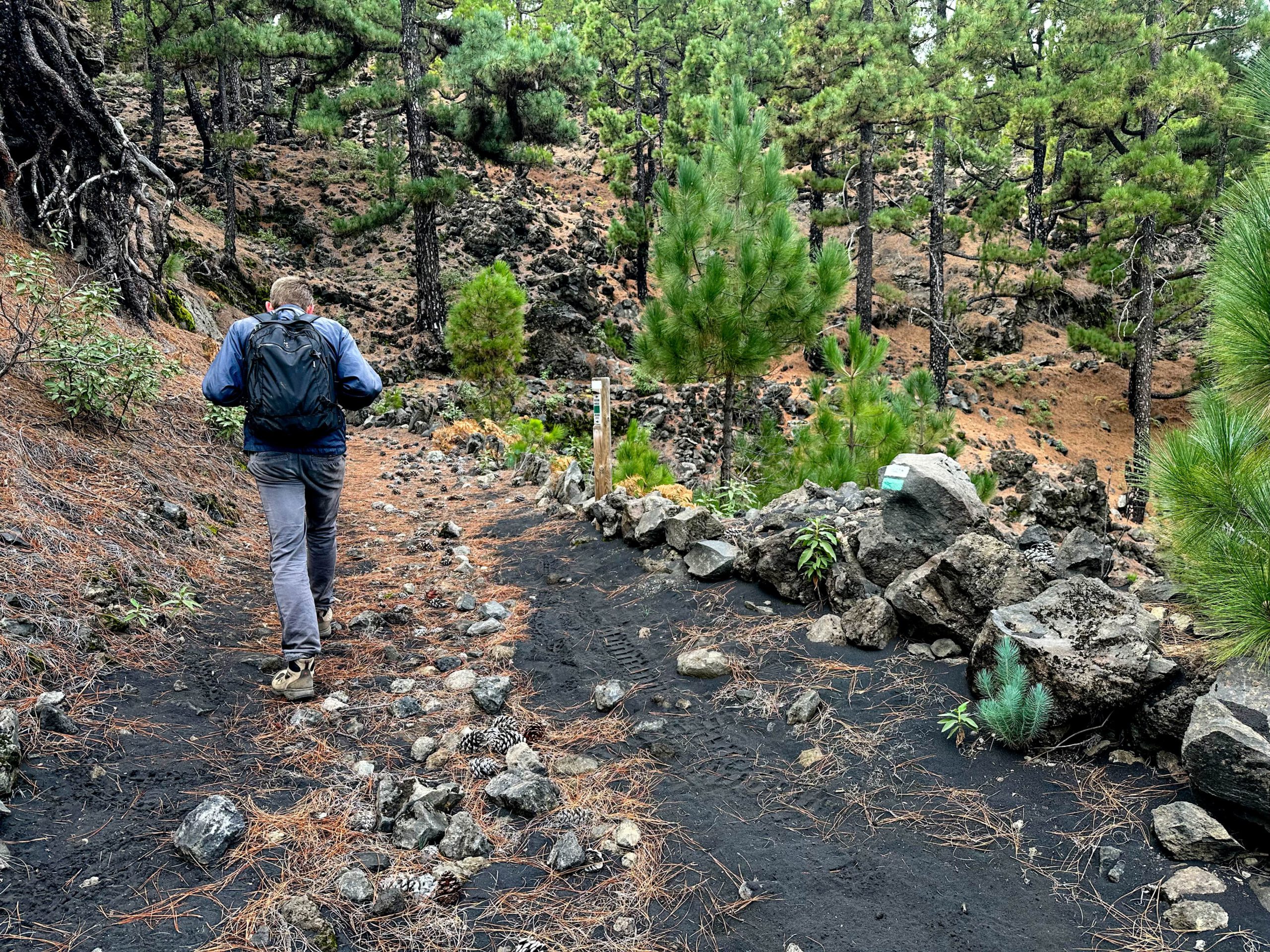 Wanderweg von der Küste hoch zur Ruta de los Volcanes