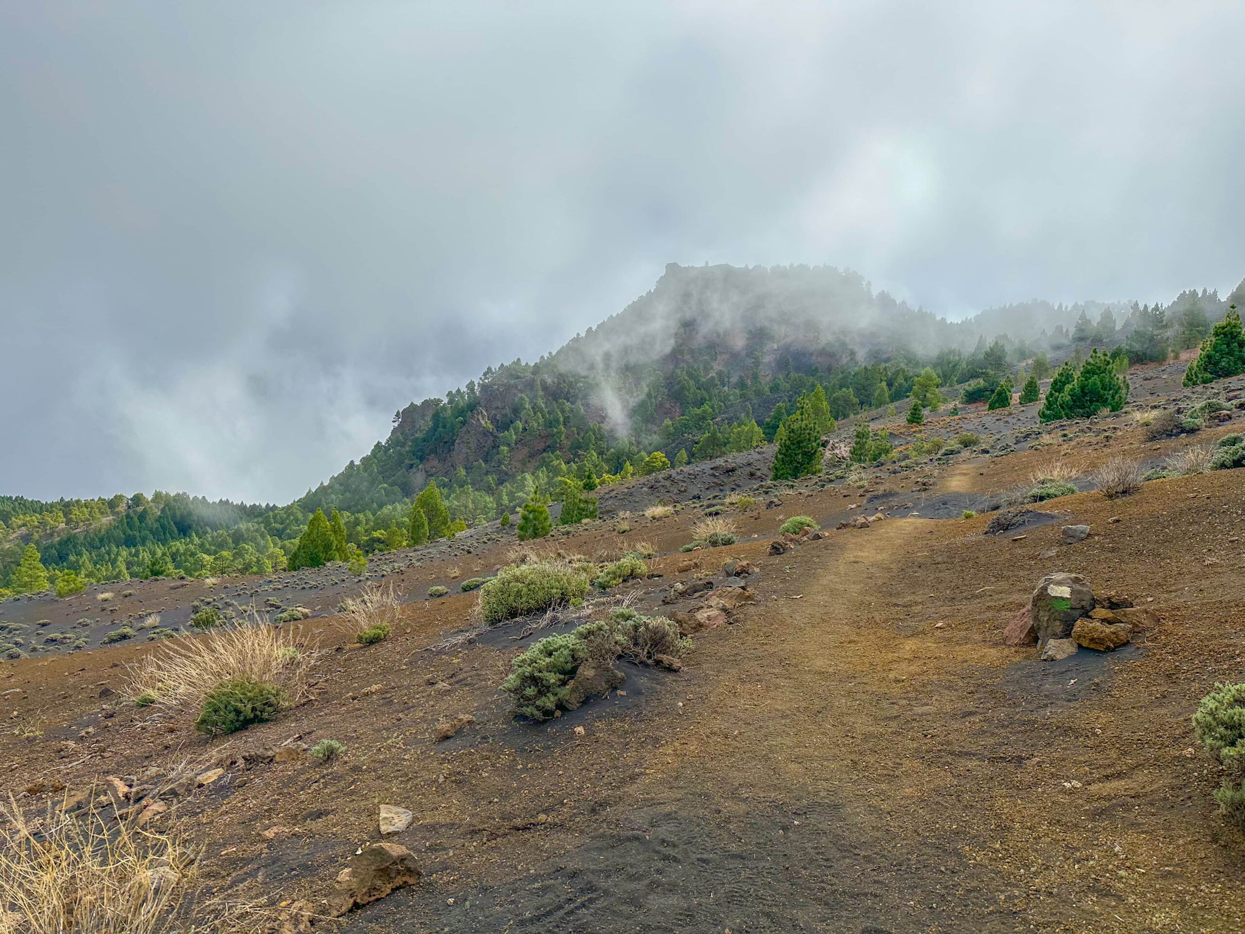 der weiß grün gekennzeichnete Wanderweg trifft auf die Ruta de los Volcanes