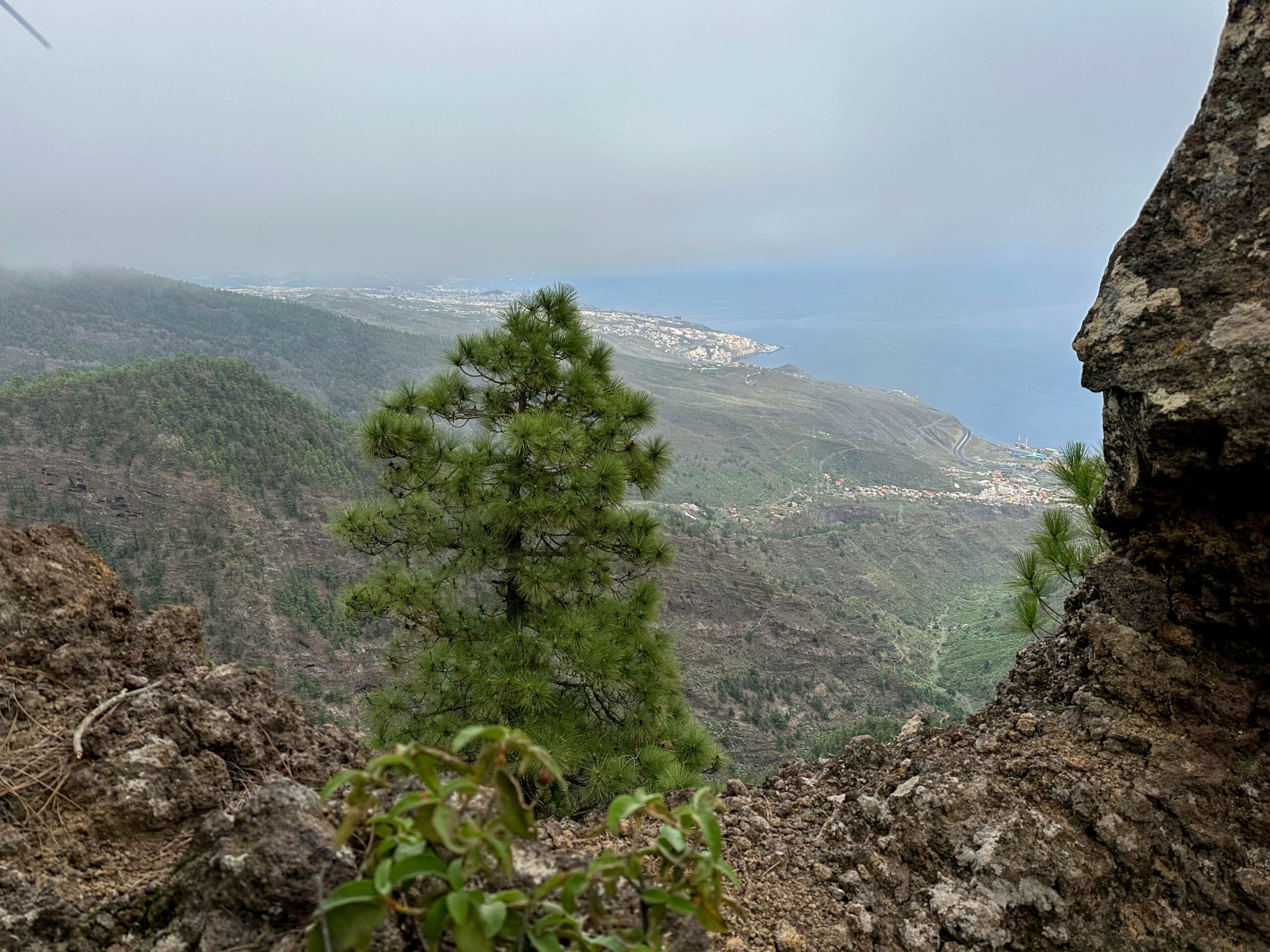 blick vom Abstiegsweg auf Santa Cruz de Tenerife