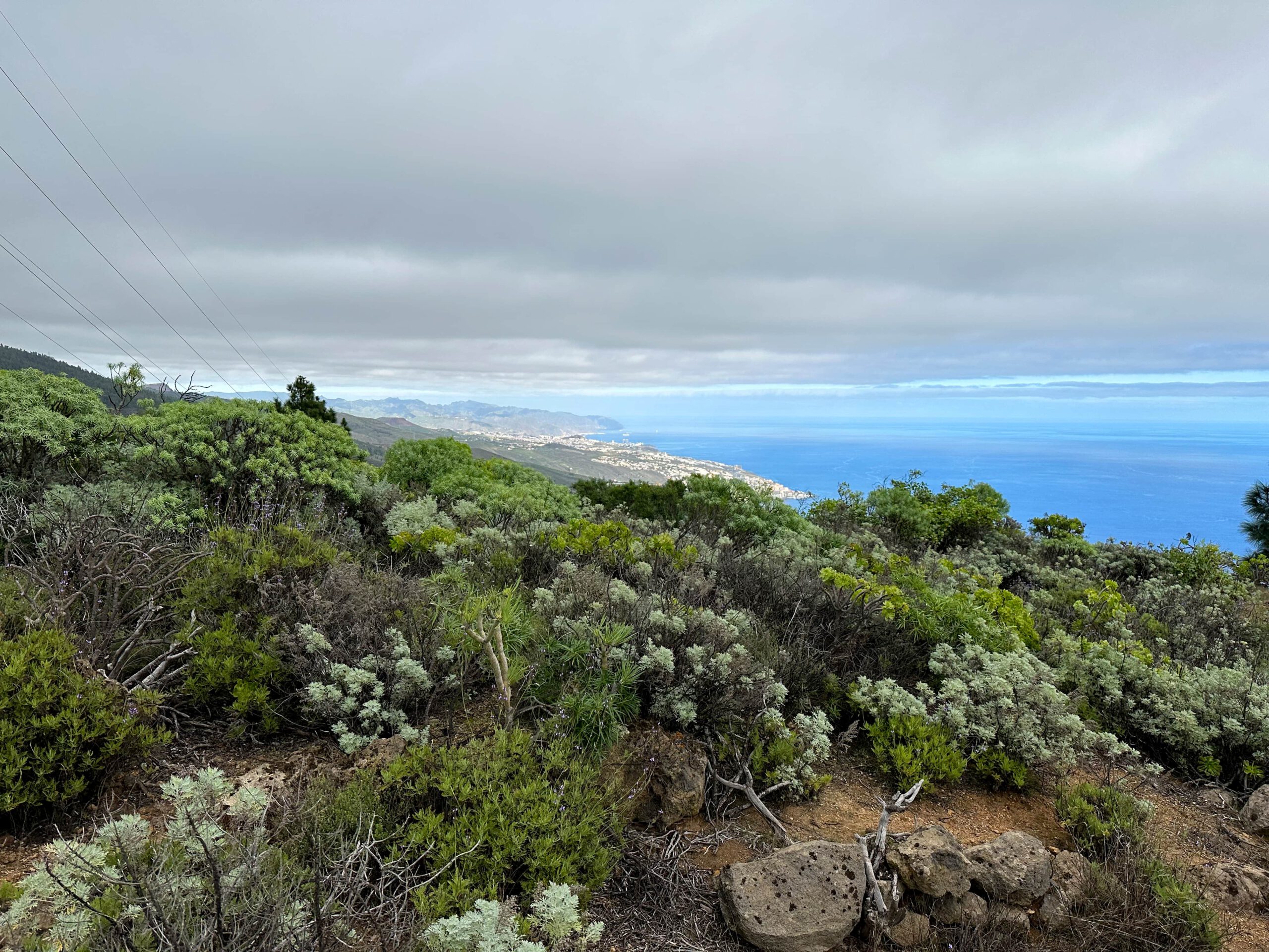 Blick auf Santa Cruz de Tenerife und die Ostküste von Teneriffa