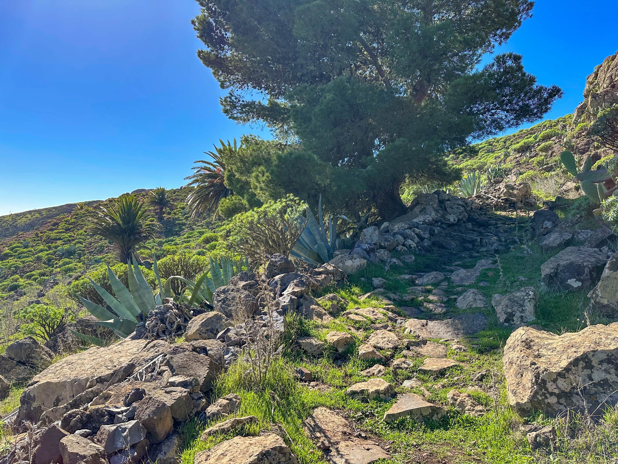 Wanderweg über Ayamosna