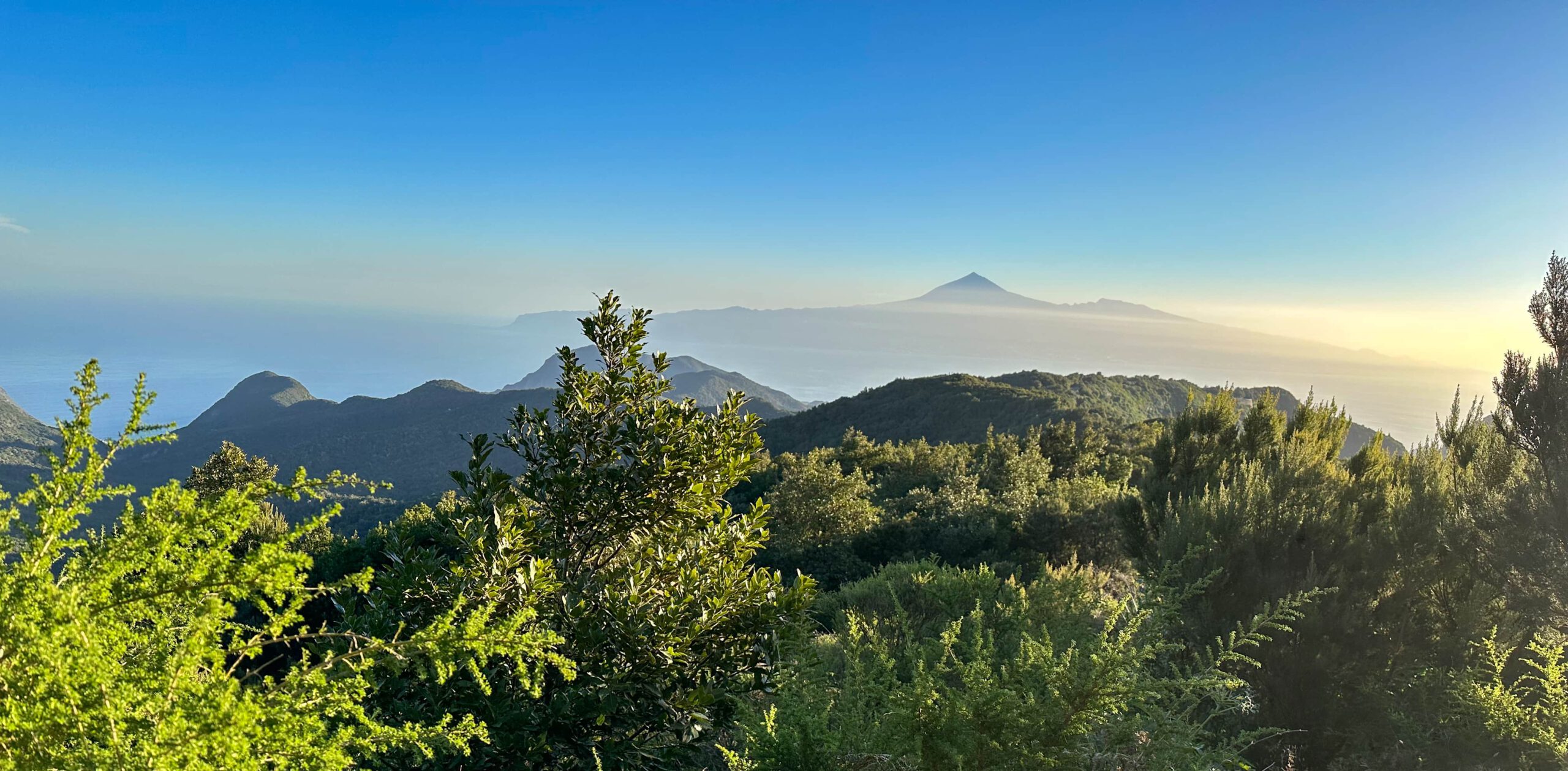 Blick über den Lorbeerwald und die Höhenzüge vom GR 131 nach Teneriffa im Morgenlicht