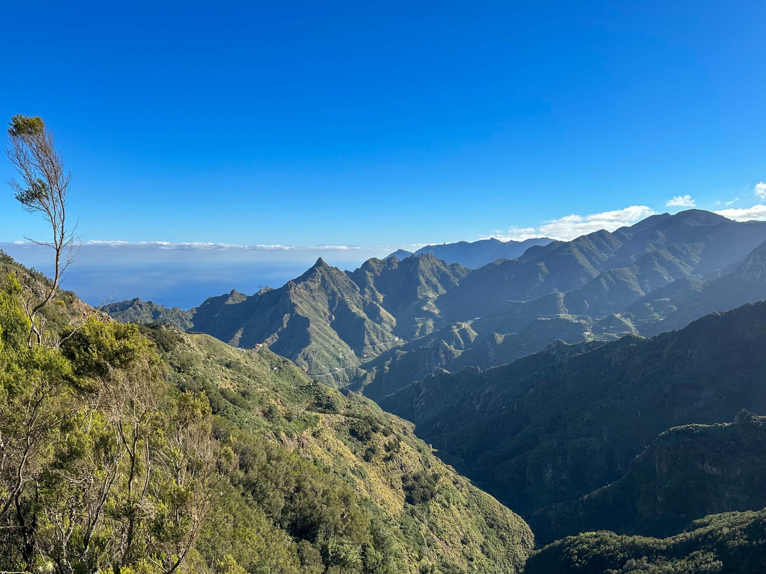 Blick vom Wanderweg auf das Anaga Gebirge (Westseite)