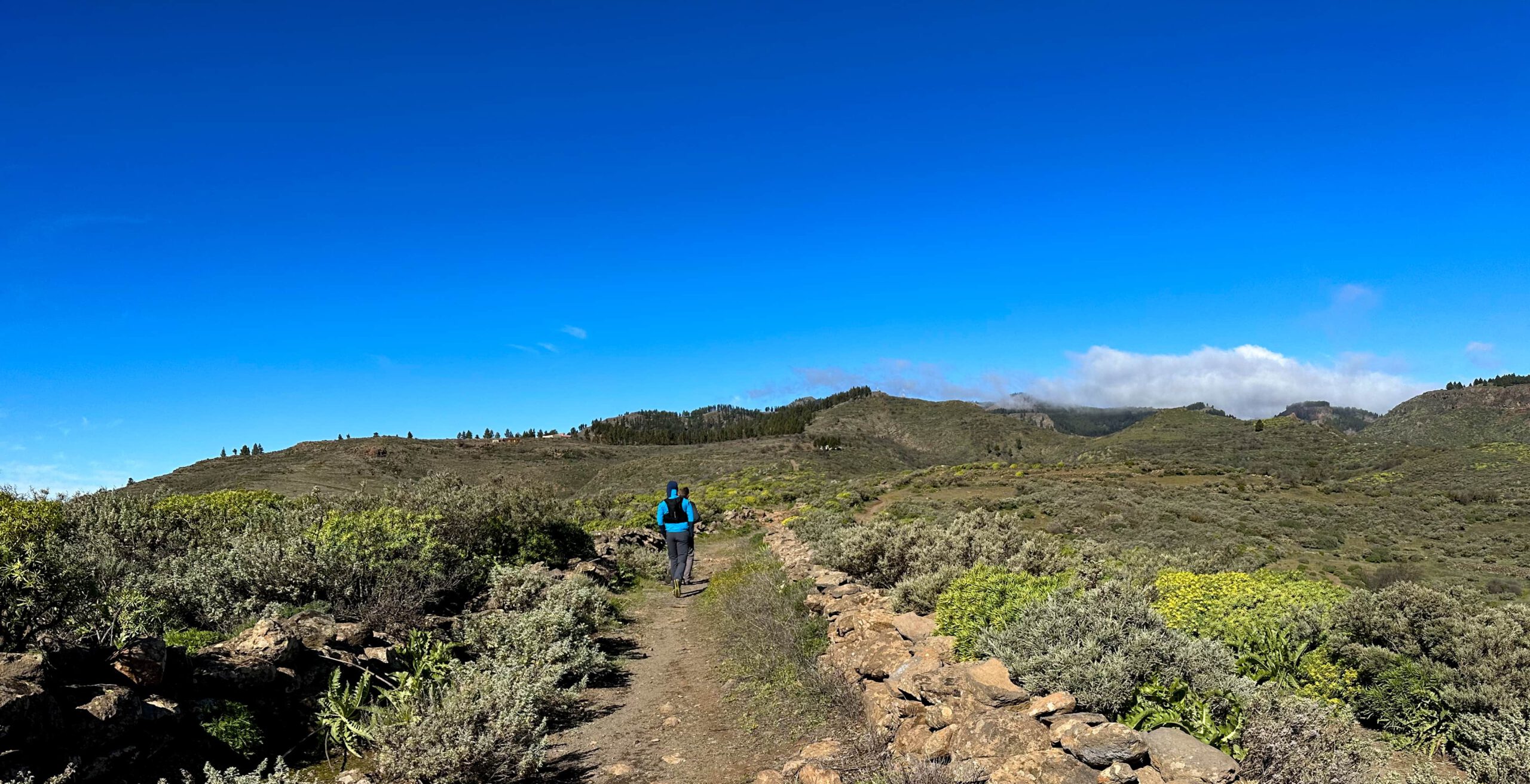 Wanderer auf dem Wanderweg Richtung Cumbre