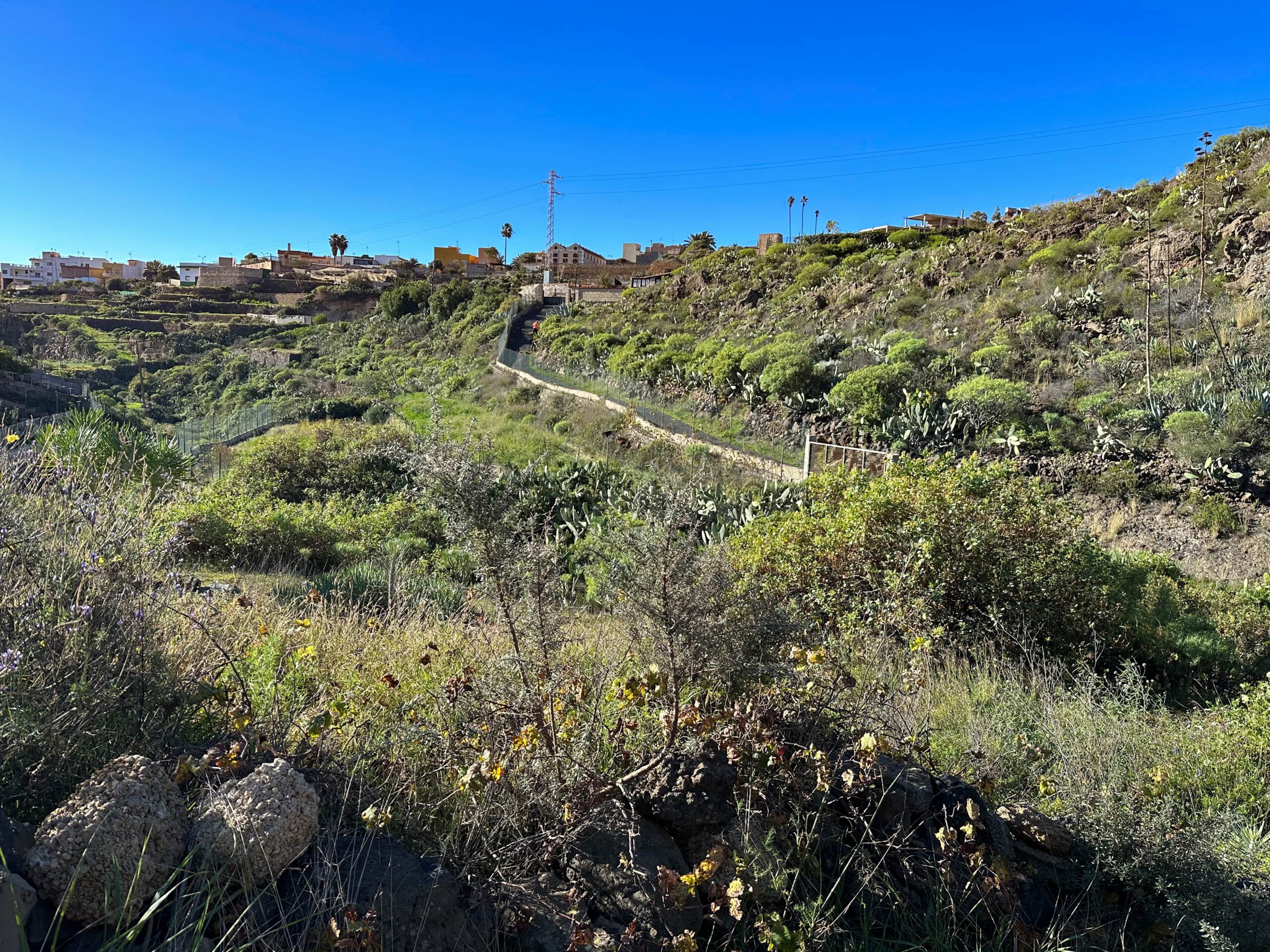 Wanderweg hinter Granadilla de Abona Richtung Arico