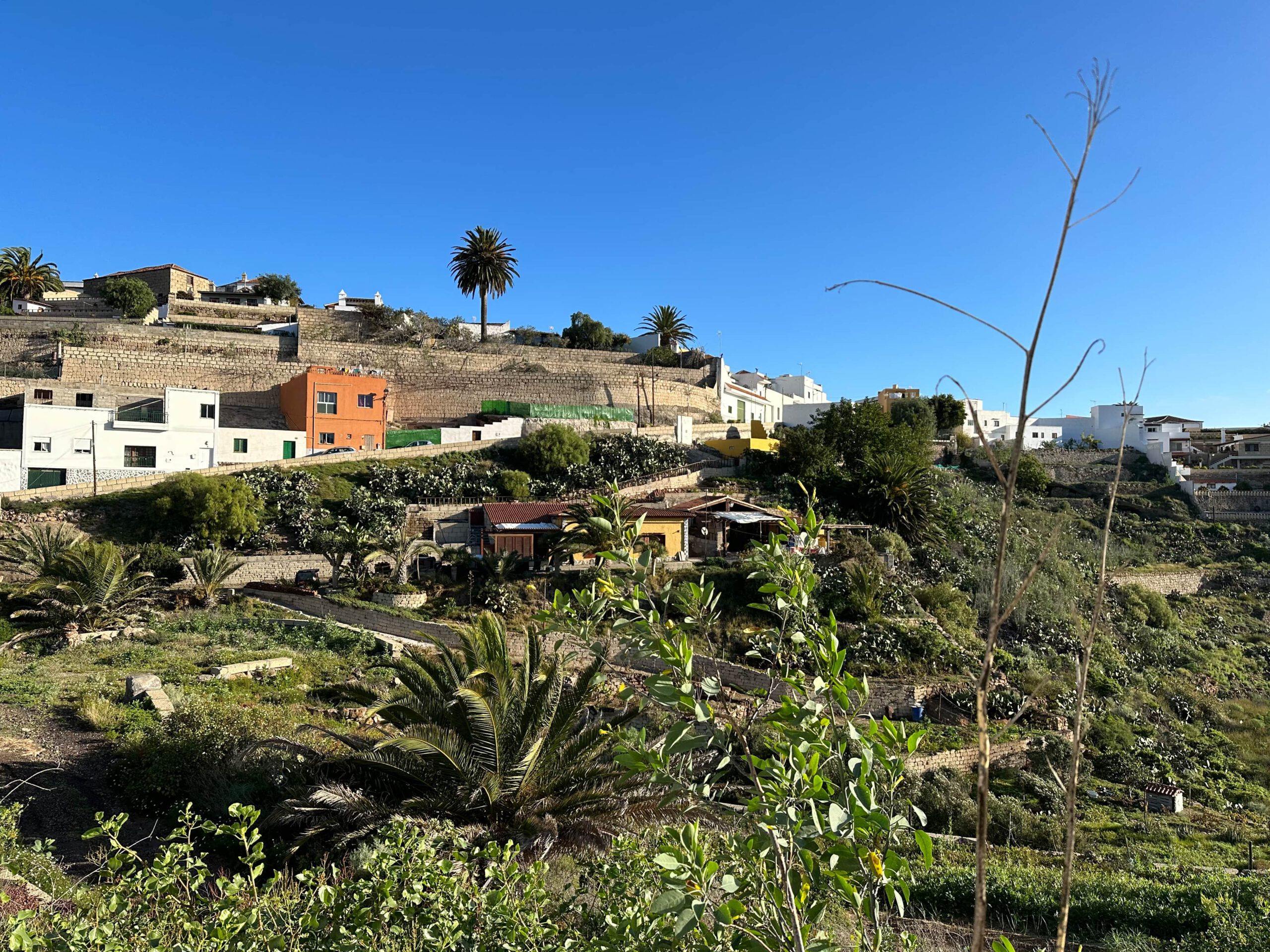 Camino Real del Sur - Arico