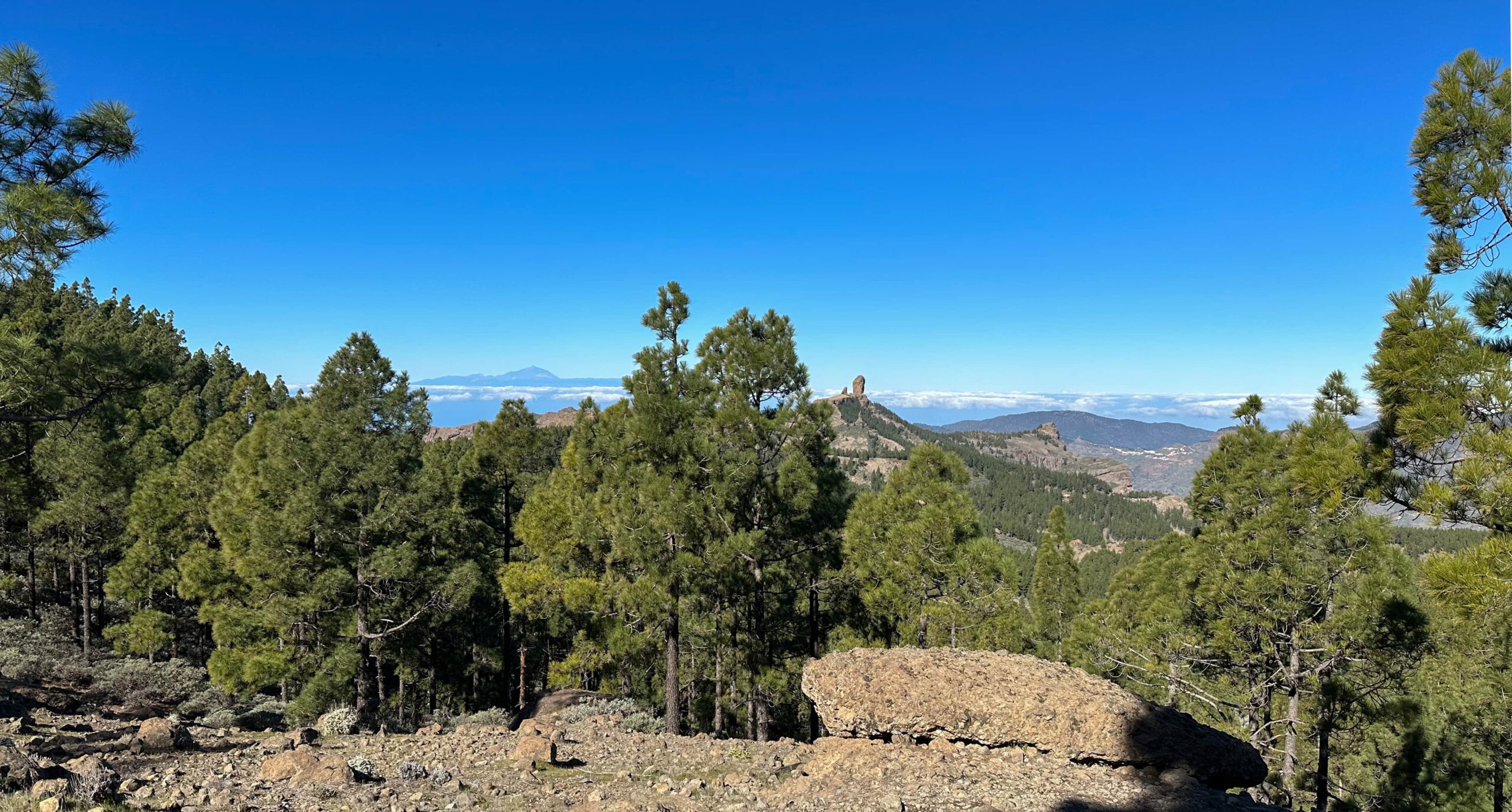 Blick von der Cumbre auf dem Weg zum Pico de las Nieves zum Roque Nublo und auf Teneriffa