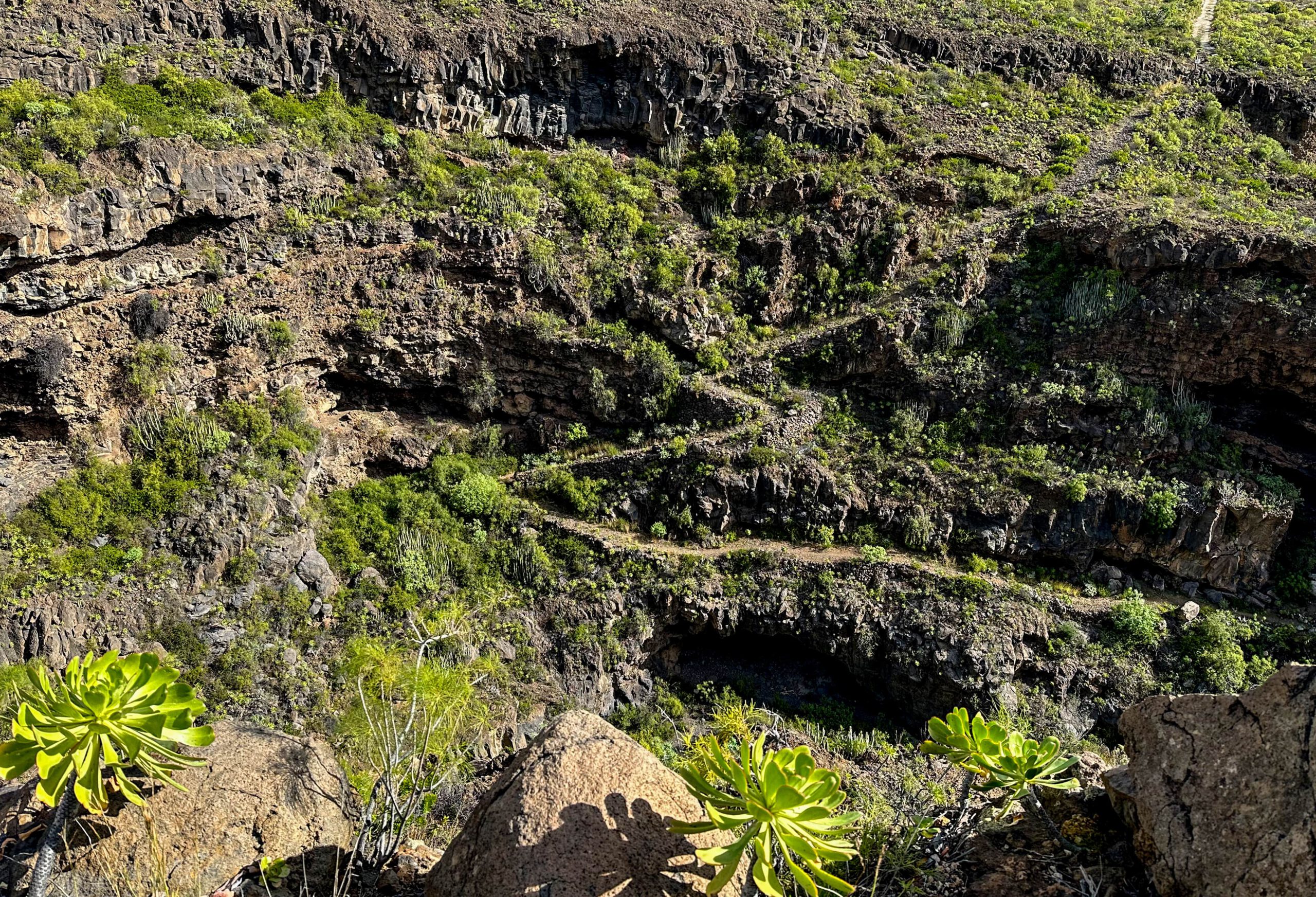 Wanderweg durch den Barranco de Herques