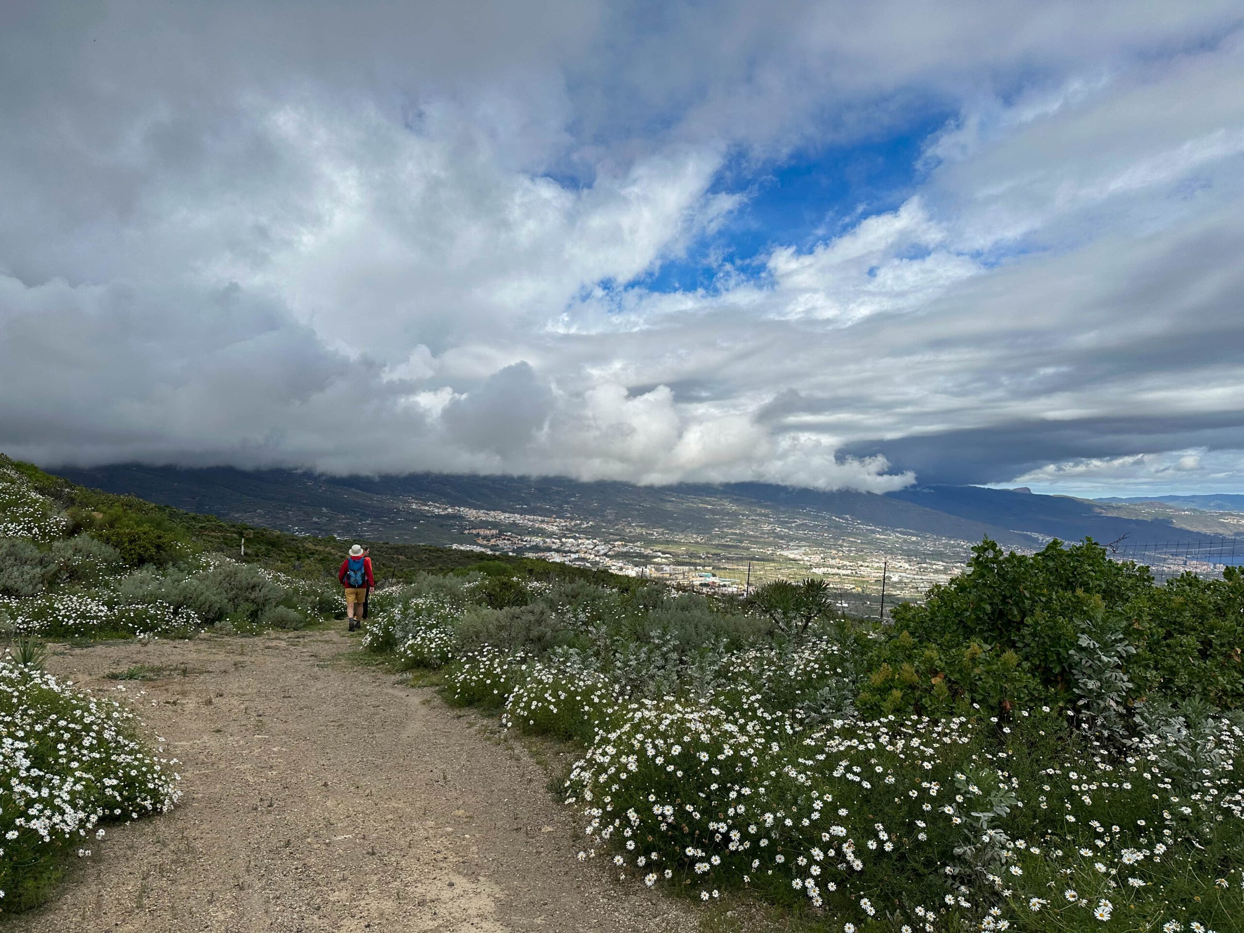 Wanderweg auf der Ladera de Güimar mit der Küste um Güimar im Hintergrund