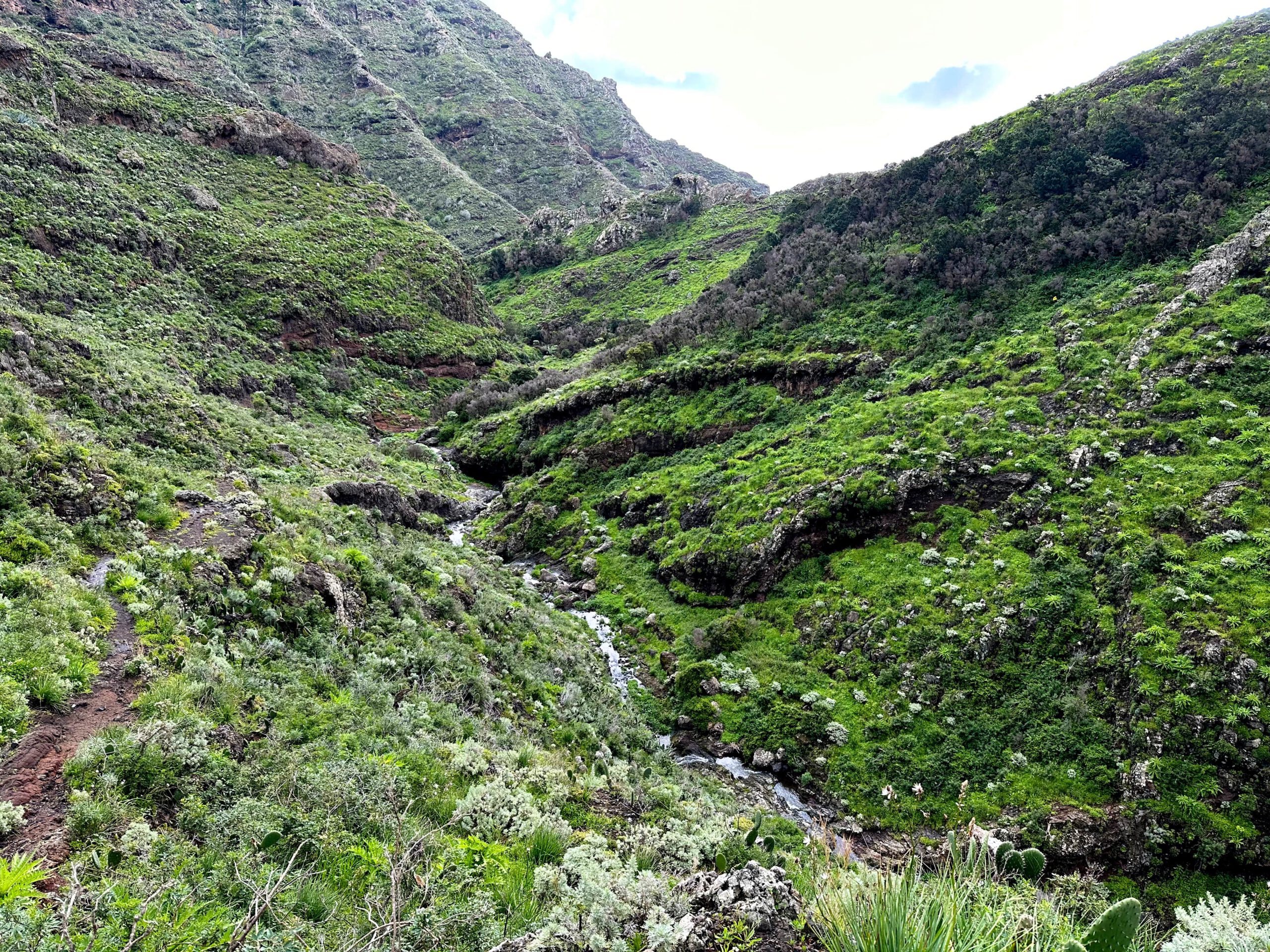 im Februar 2023 fand ich im Barranco Anosma viel grün und sehr viel Wasser
