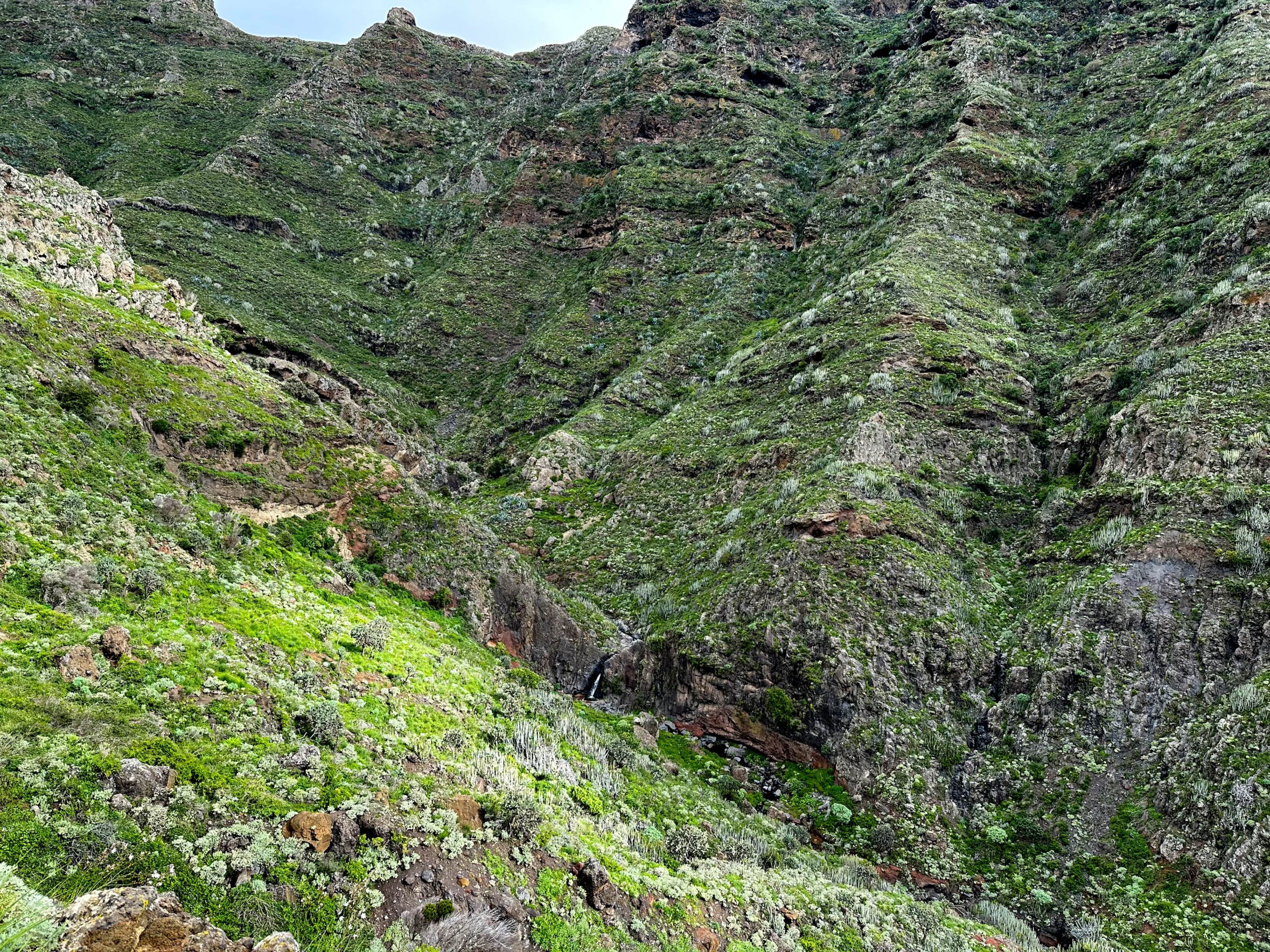 Wanderpfad entlang der grünen Hänge des Barranco Anosma