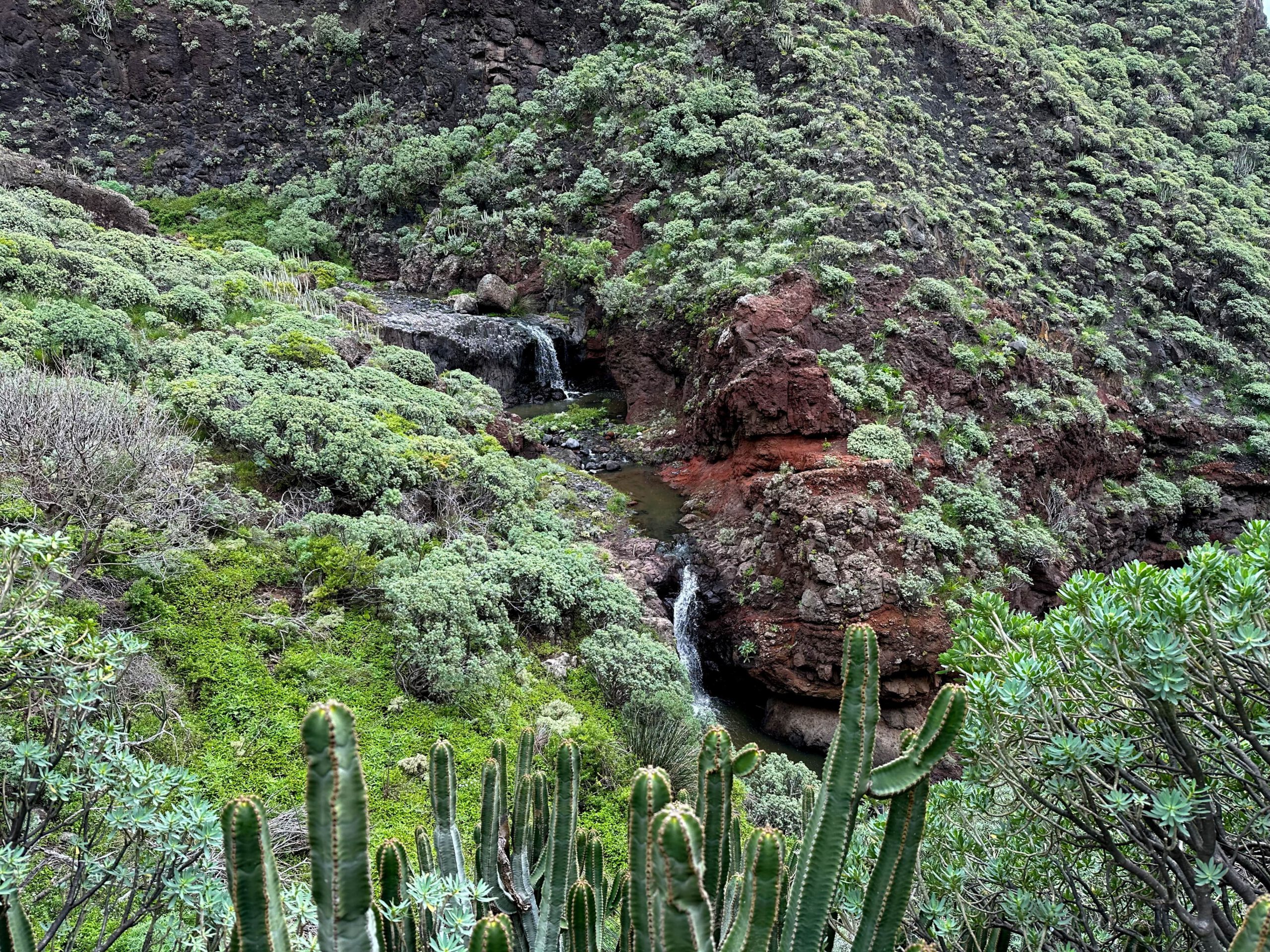 Kleine Wasserfälle am Wegesrand im Barranco Anosma