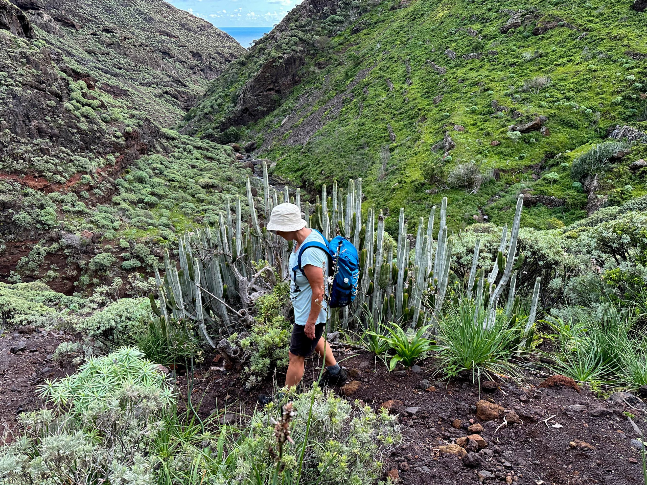 Wanderin im unteren Teil des Barranco Anosma - im Hintergrund ist bereits das Meer zu sehen