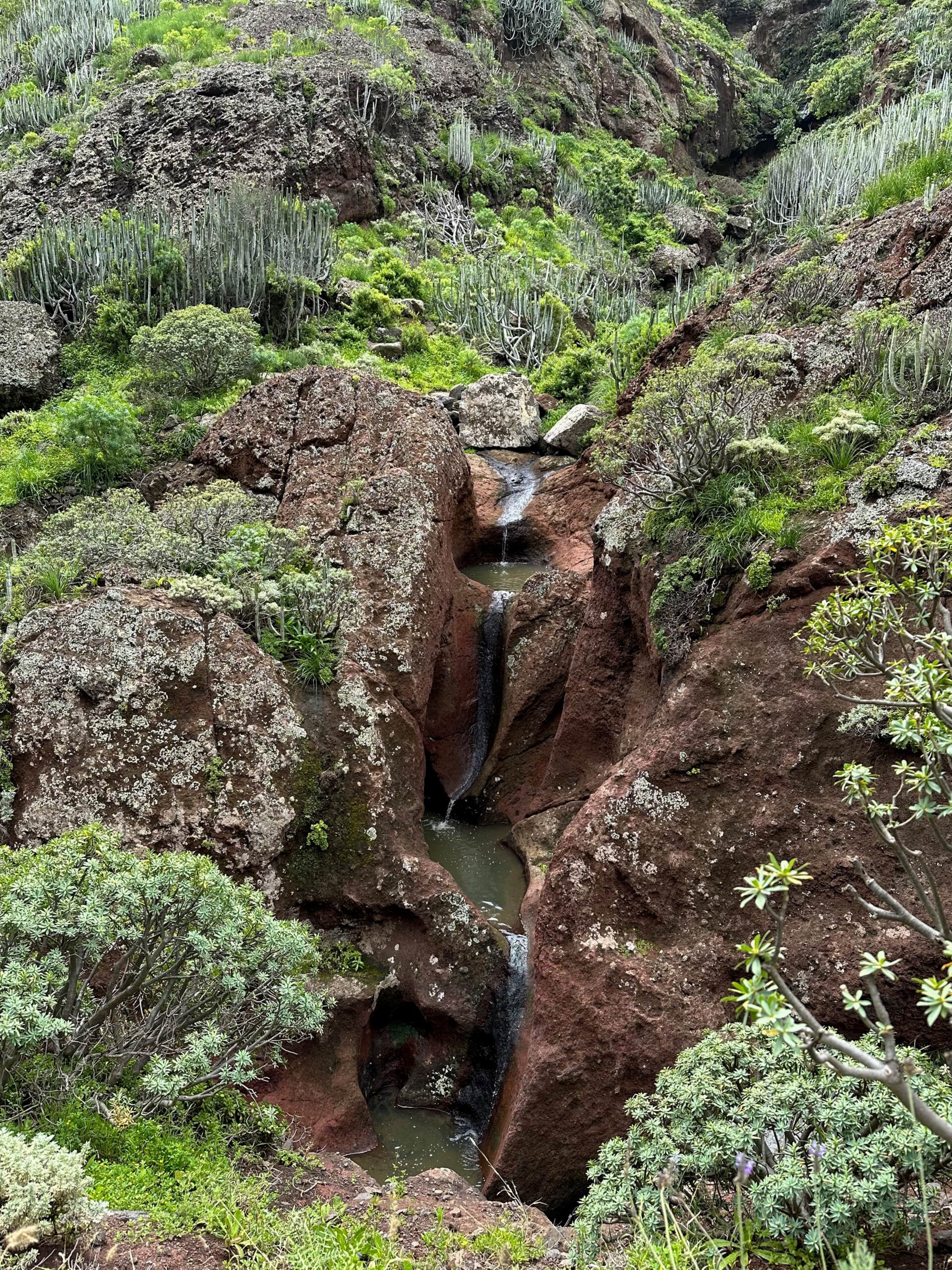 kleine Wasserfälle und Wasserbecken am Wegesrand