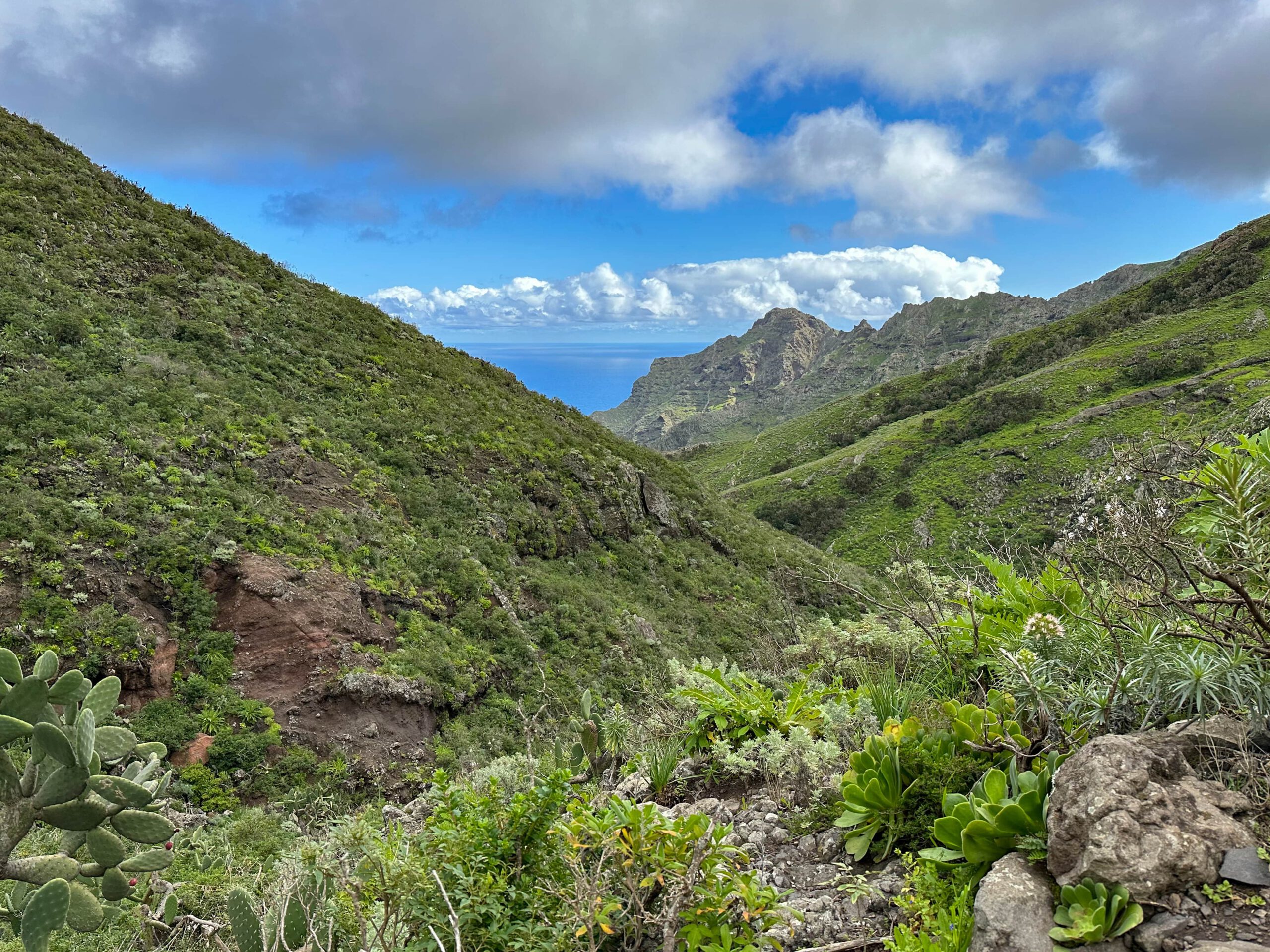 Blick vom oberen Wanderweg auf den Barranco Anosma und den Atlantik