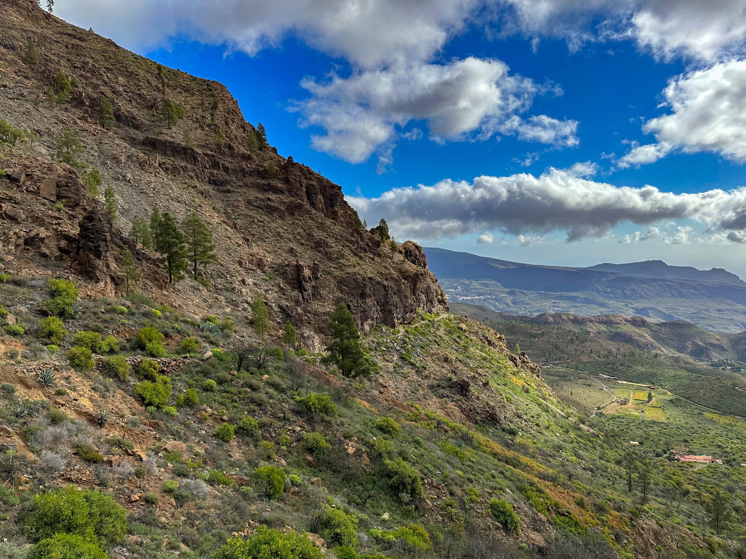 Blick von der Degollada de Manzanilla zurück auf den Wanderweg