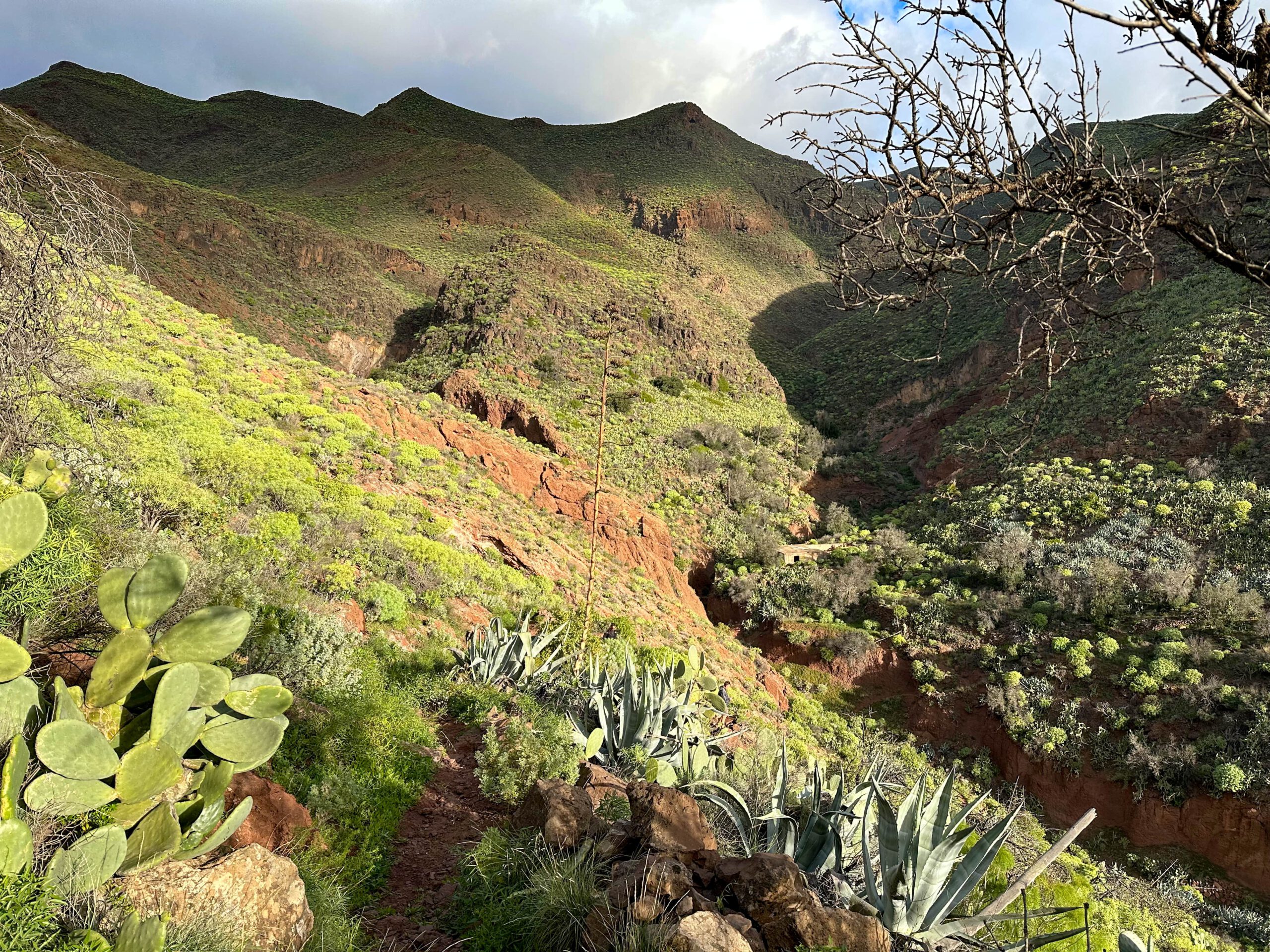 Blick vom Wanderweg - Nähe Barranco Hondo