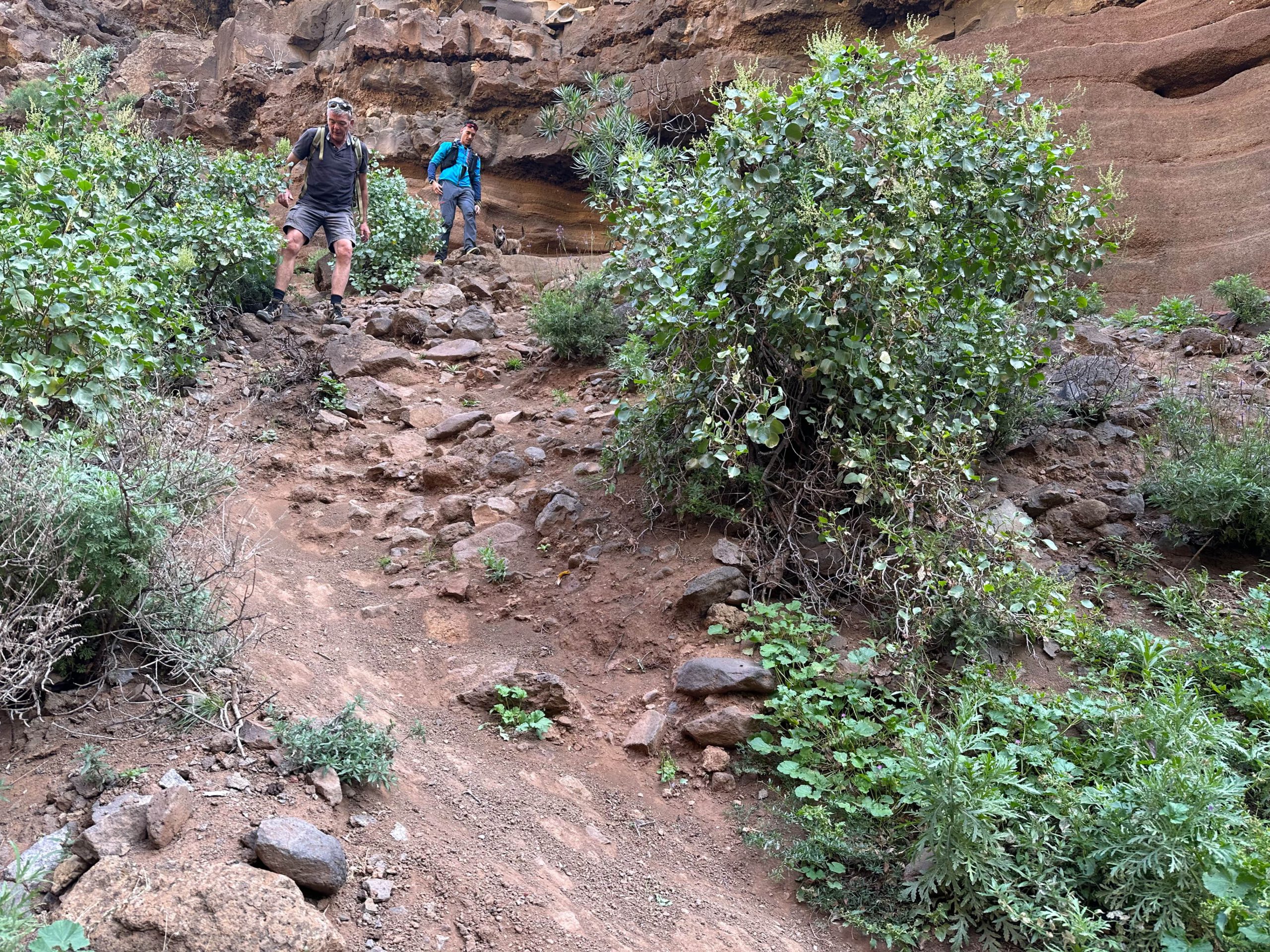 Wanderer im Barranco de Las Vacas