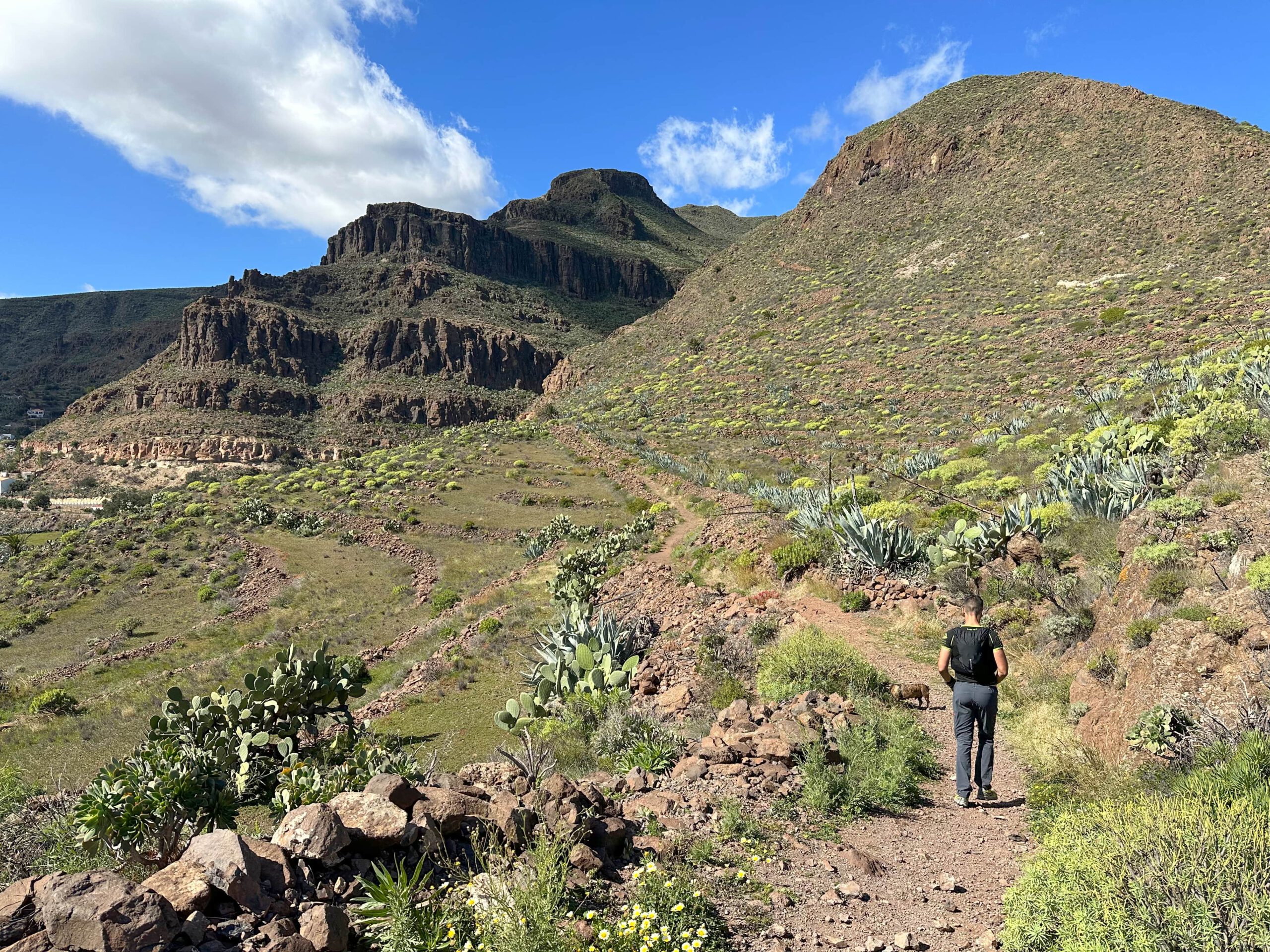 Wanderer auf dem Wanderweg zwischen Temisas und dem Barranco de Las Vacas