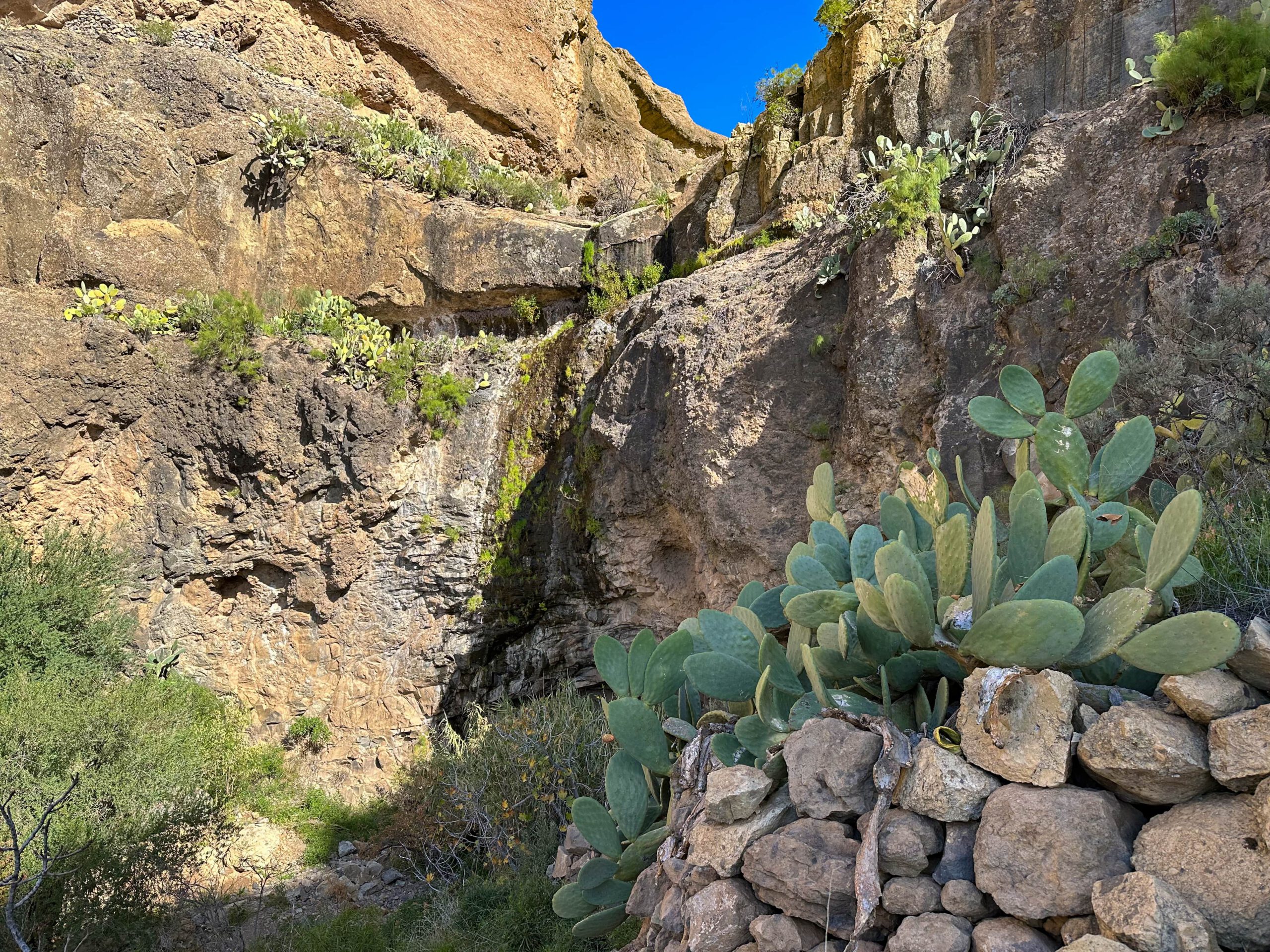 Barranco Manantiales - Cercados de Araña