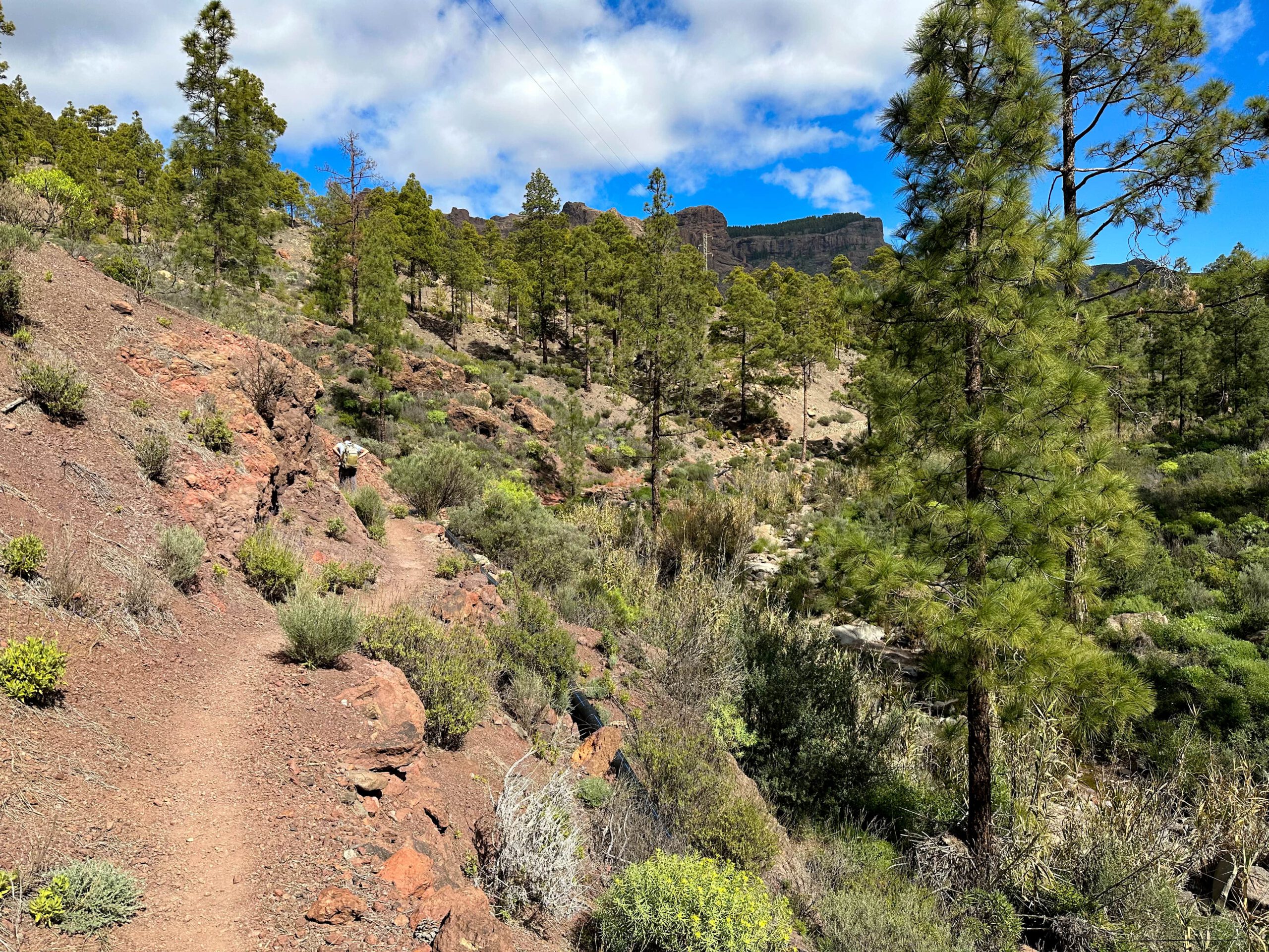 Wanderweg im oberen Teil des Barranco de la Plata unterhalb Cruz Grande